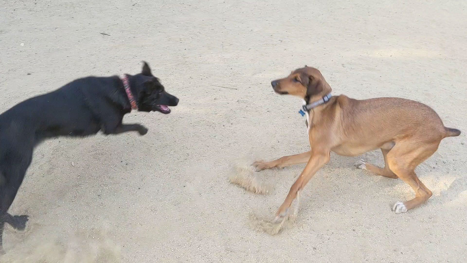Jeffrey Fontana Park - San Jose, CA