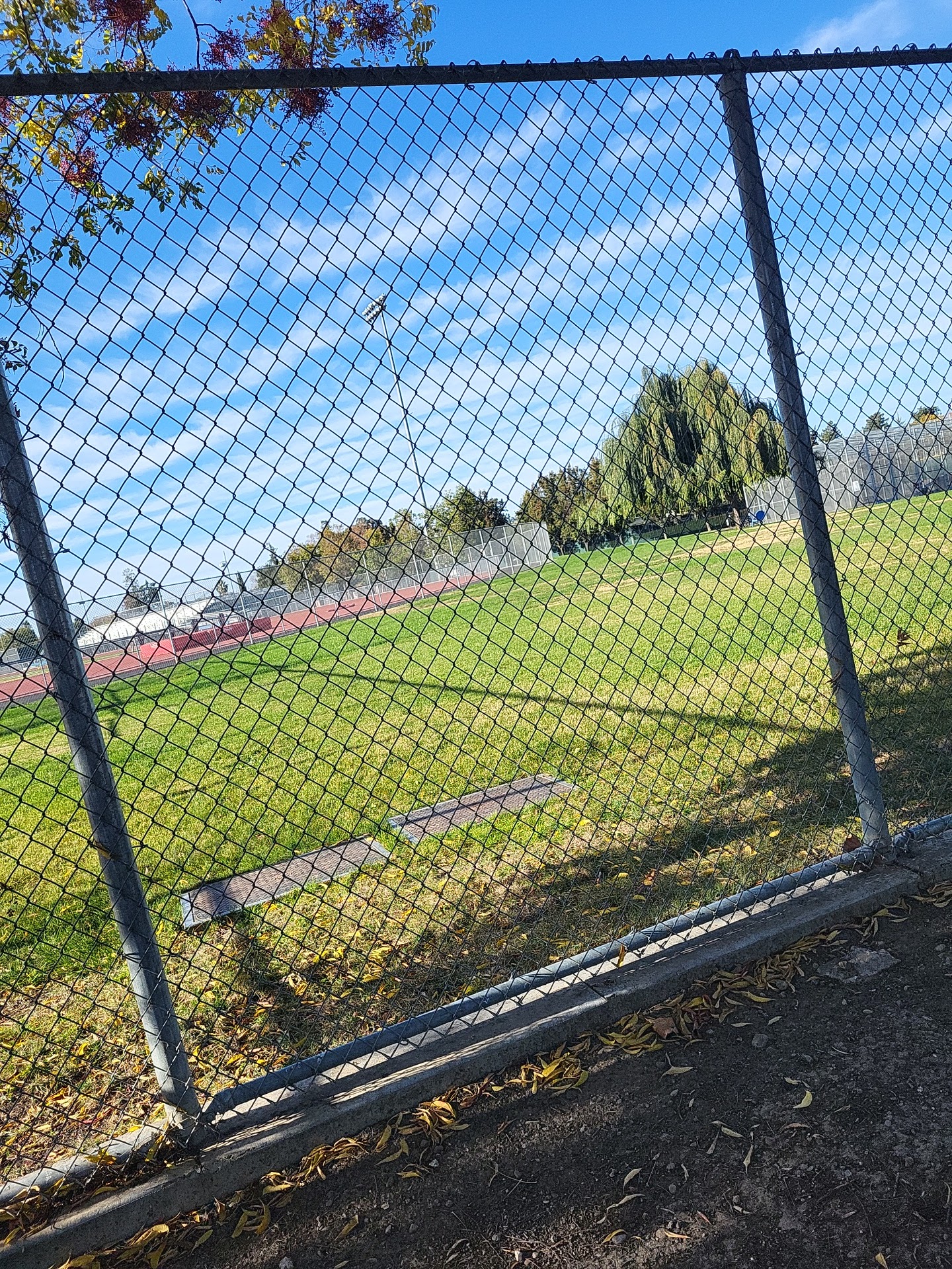 Lincoln Dog Park - San Jose, CA