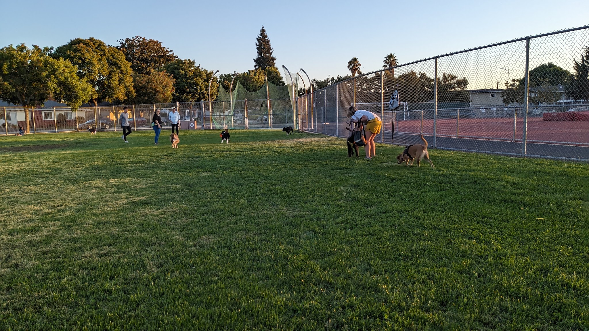 Lincoln Dog Park - San Jose, CA