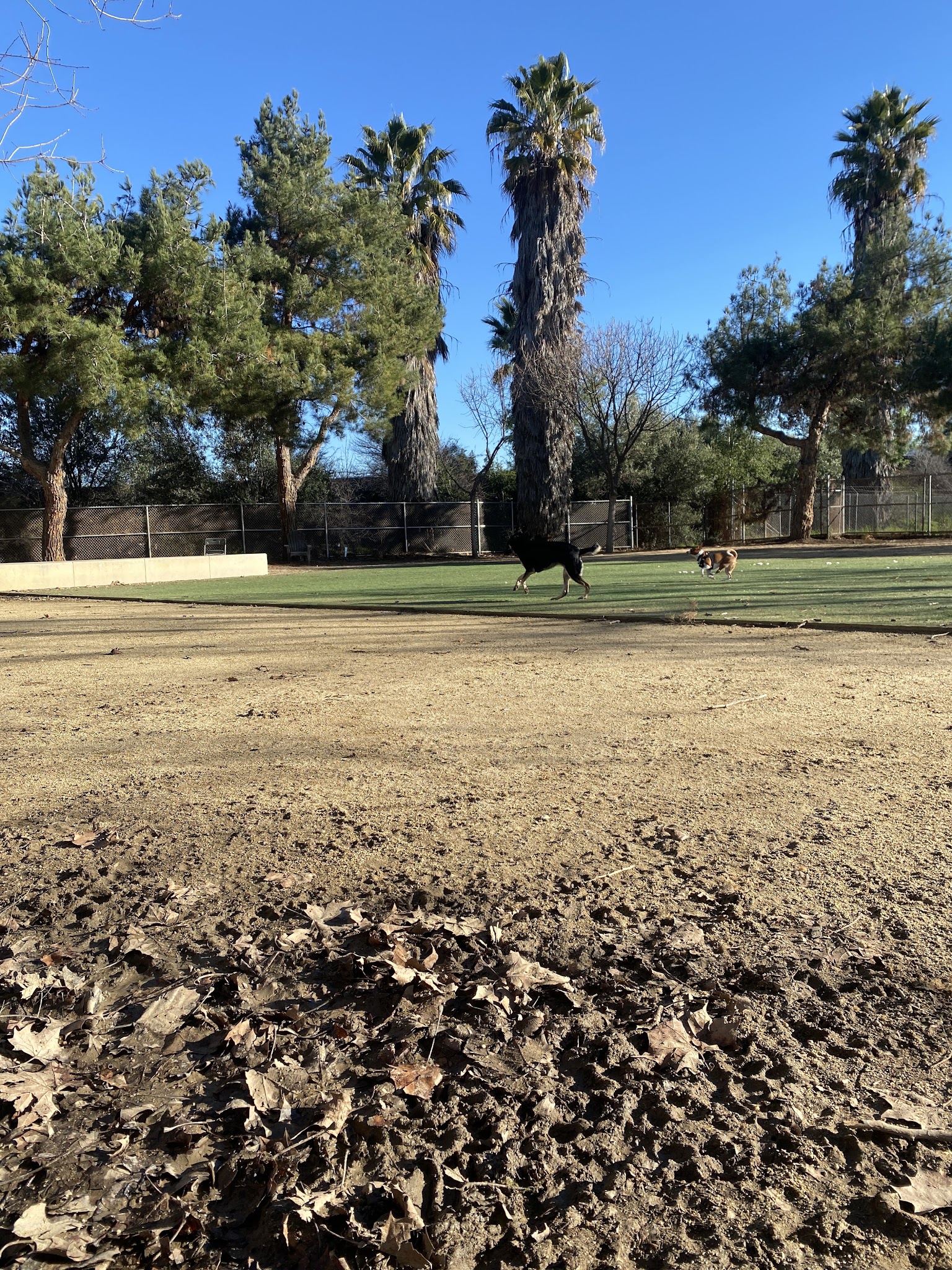 Miyuki Dog Park - San Jose, CA