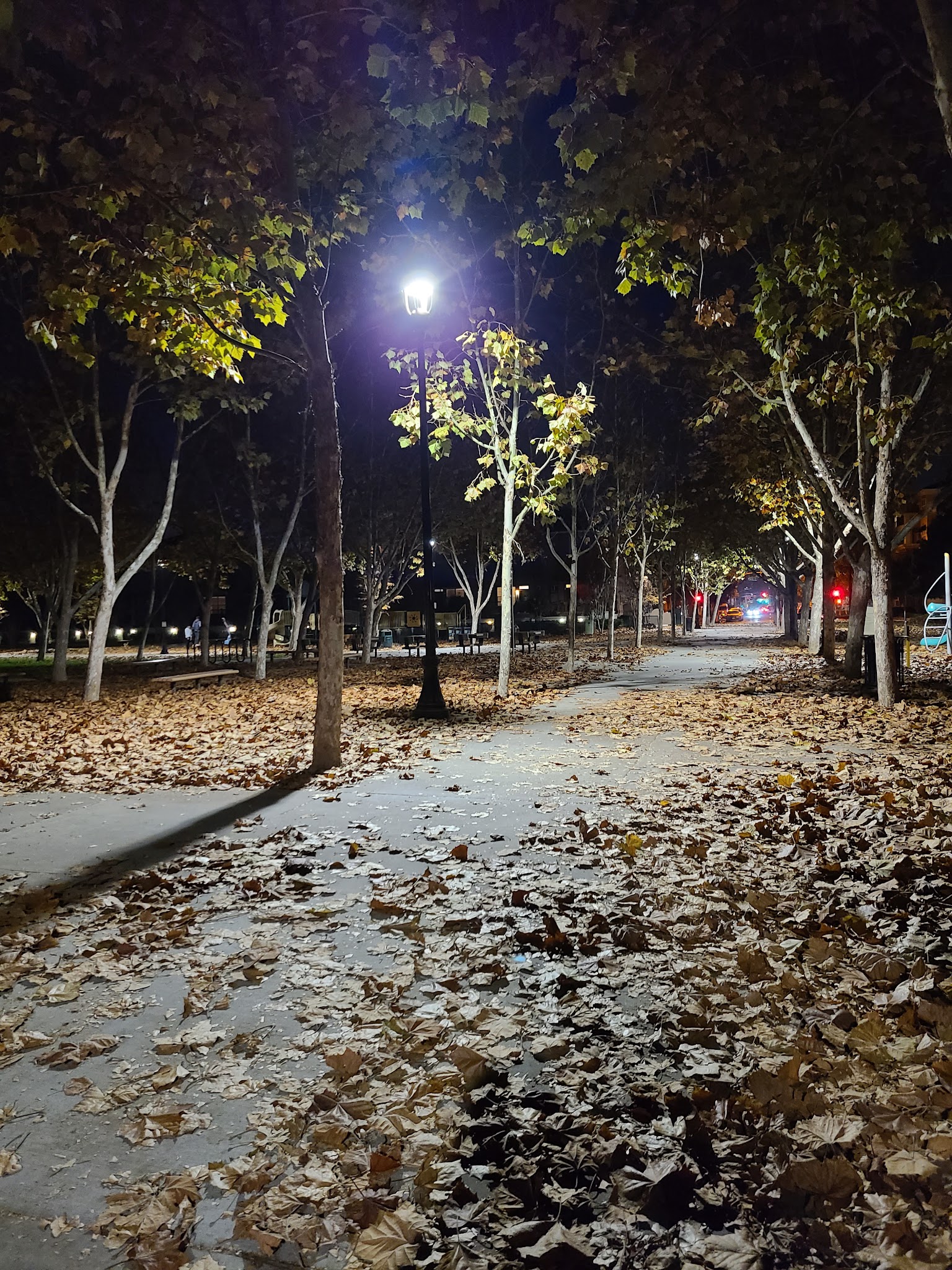 O'Connor Park - San Jose, CA