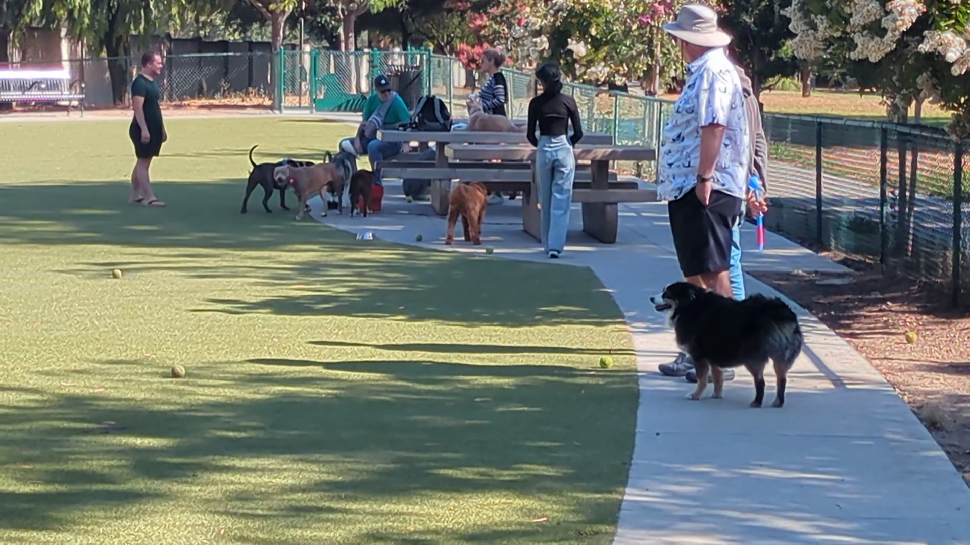 Saratoga Creek Dog Park, San Jose, CA - San Jose, CA