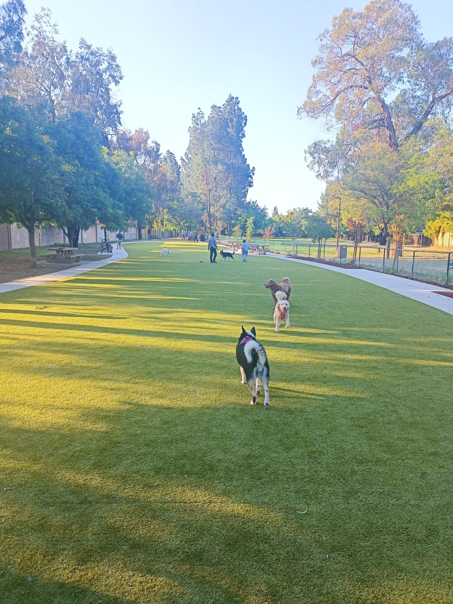Saratoga Creek Dog Park, San Jose, CA - San Jose, CA