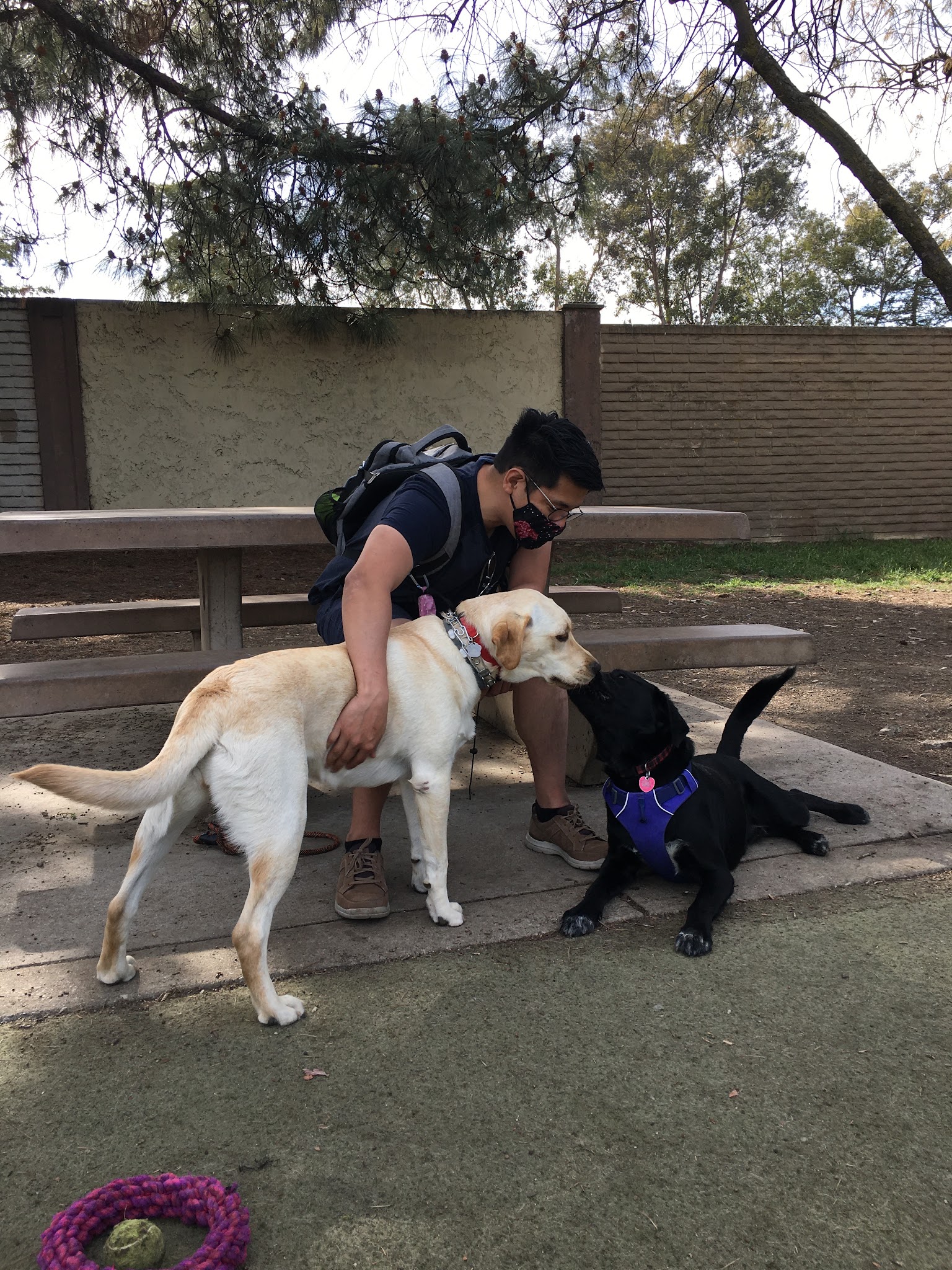 Saratoga Creek Dog Park, San Jose, CA - San Jose, CA