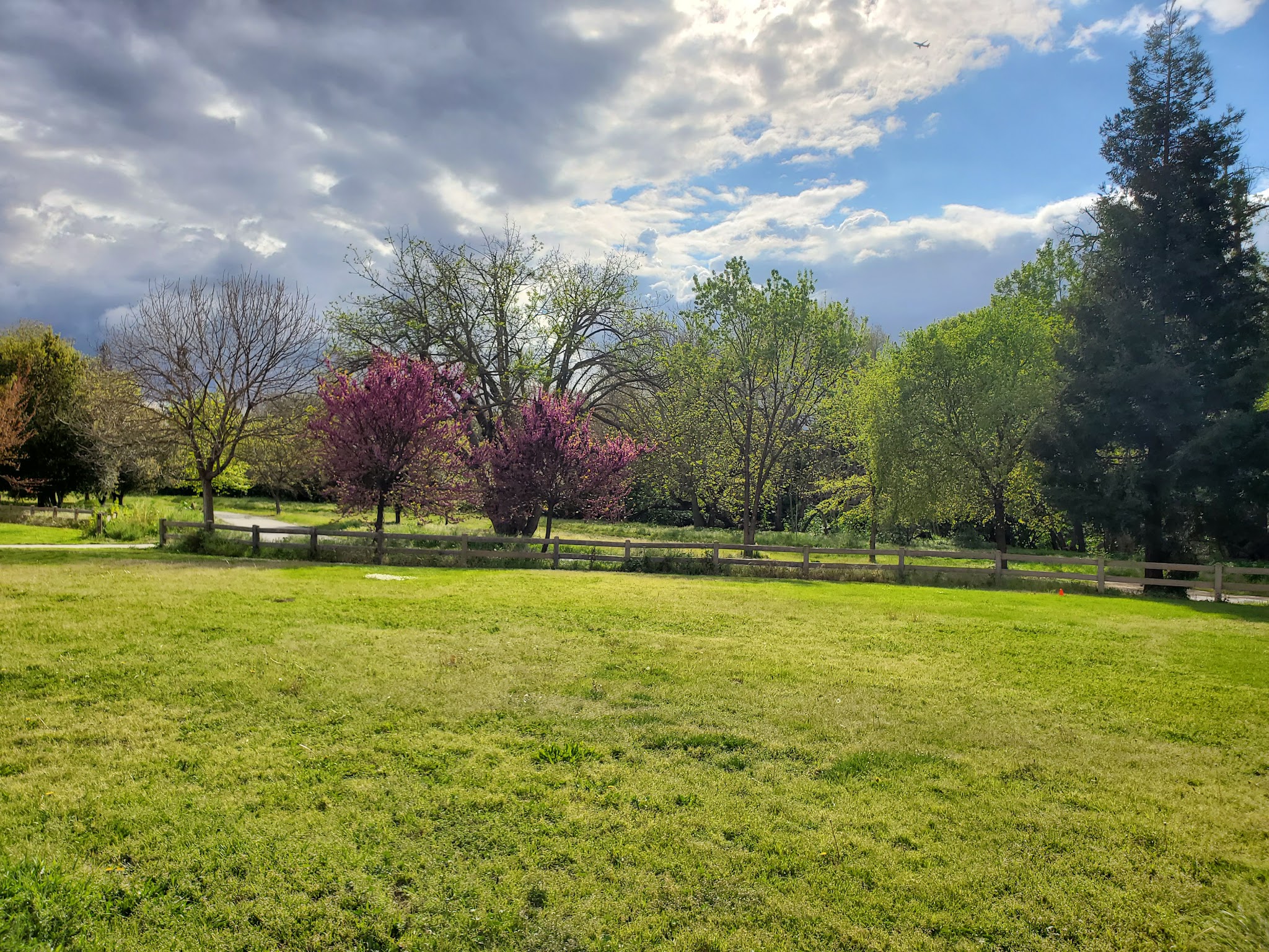 Selma Olinder Park - San Jose, CA