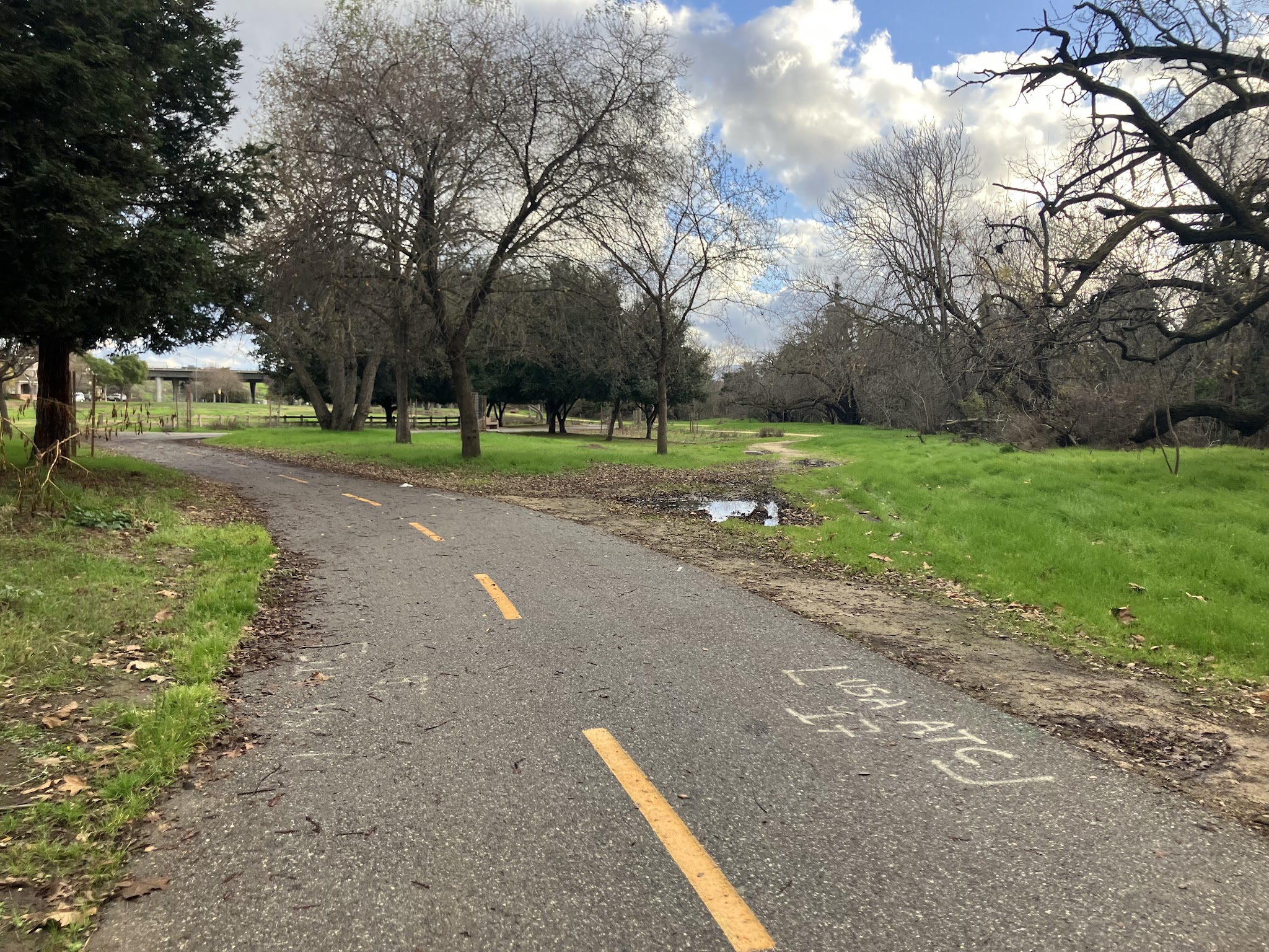Selma Olinder Park - San Jose, CA