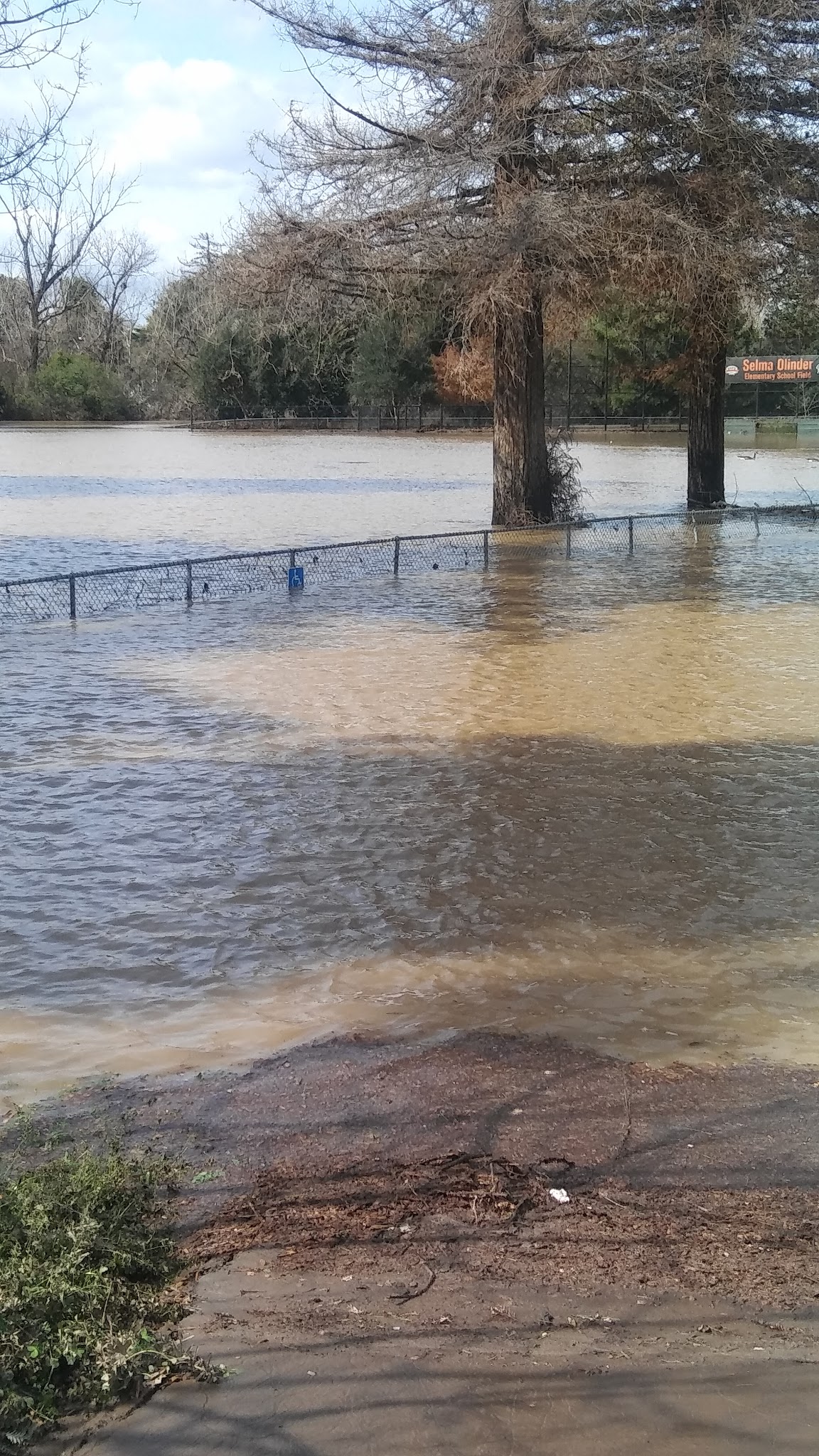 Selma Olinder Park - San Jose, CA