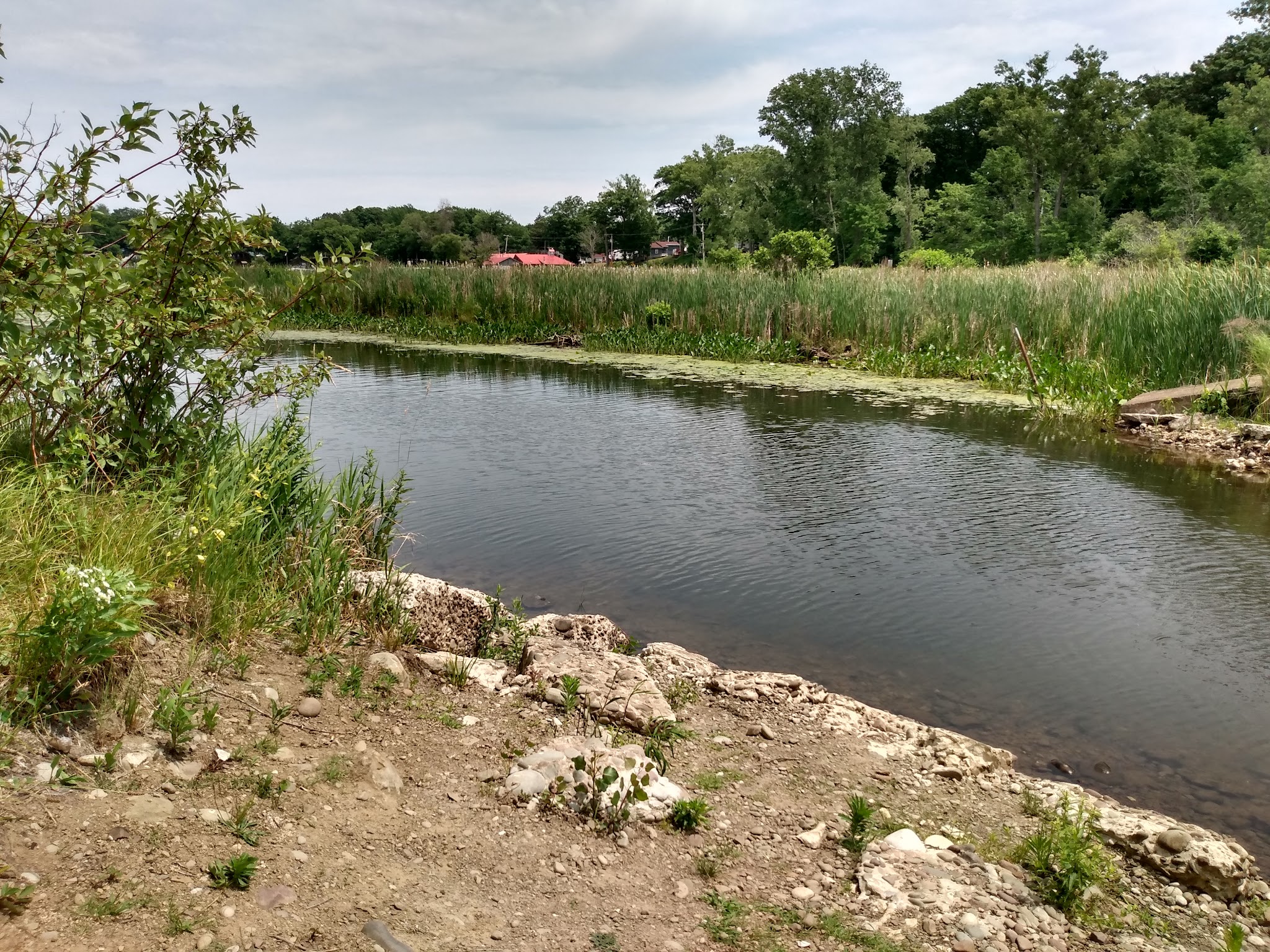 Sandy Creek - Sandy Creek, NY