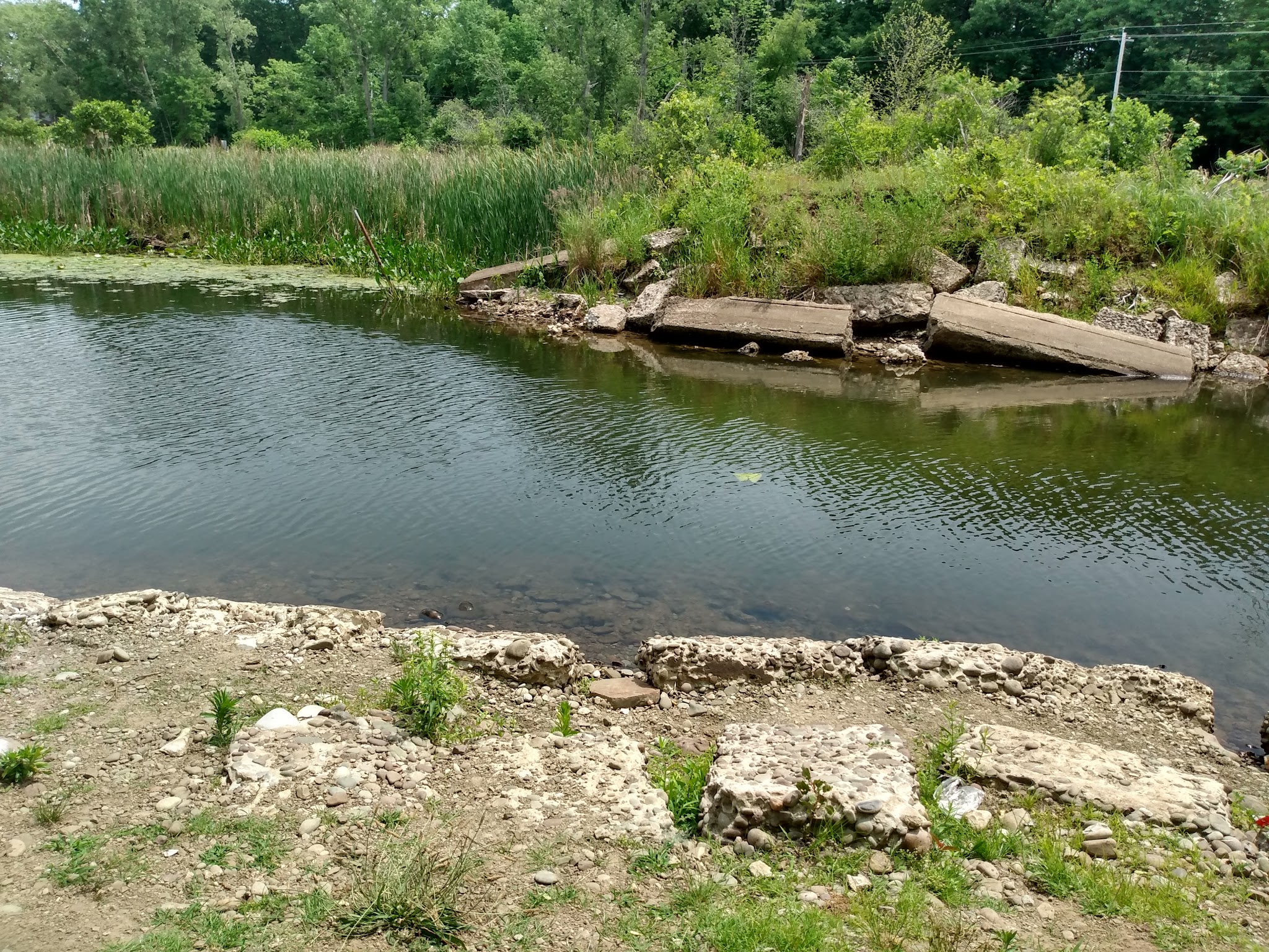 Sandy Creek - Sandy Creek, NY