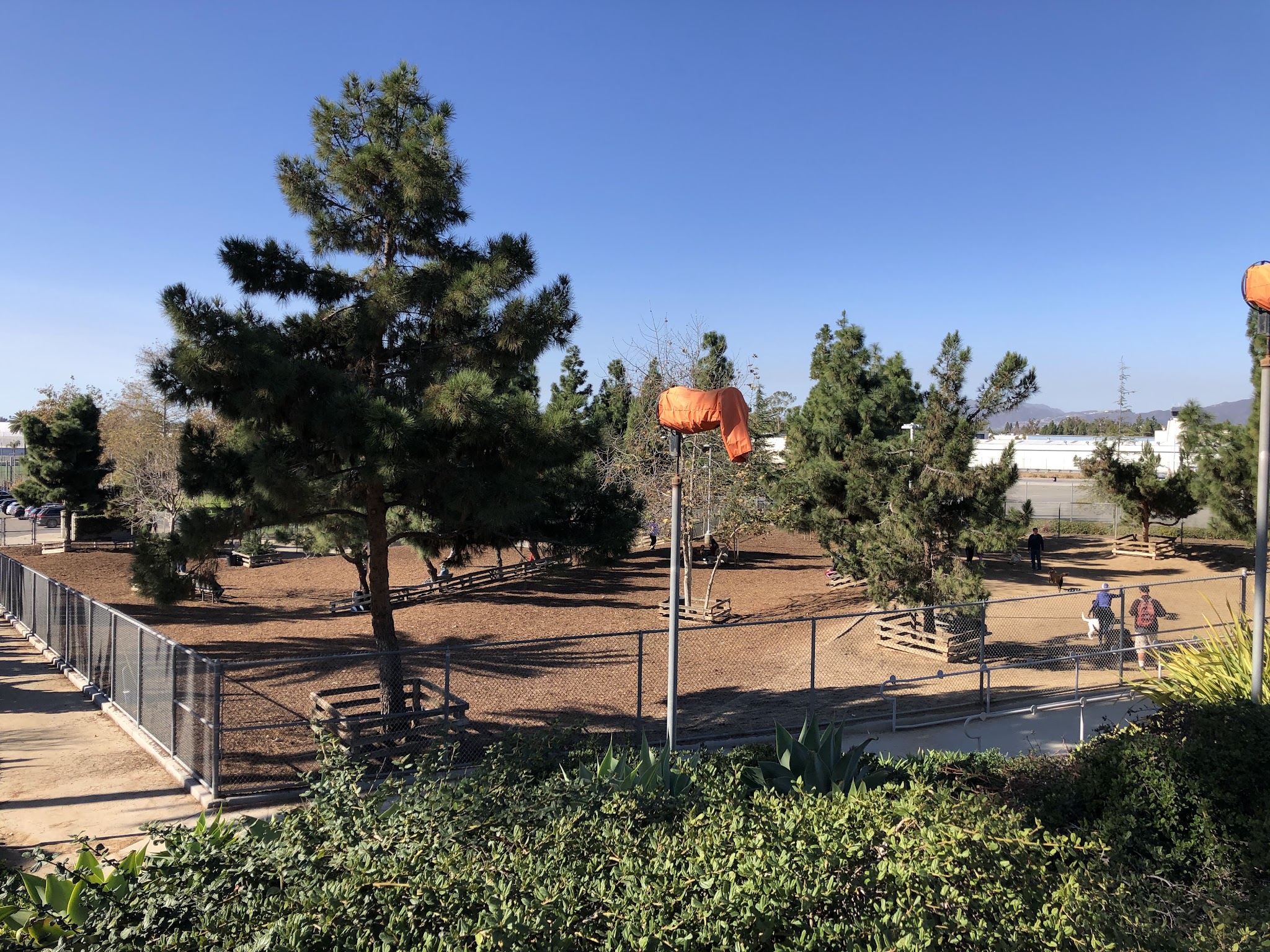 Airport Park Dog Park - Santa Monica, CA