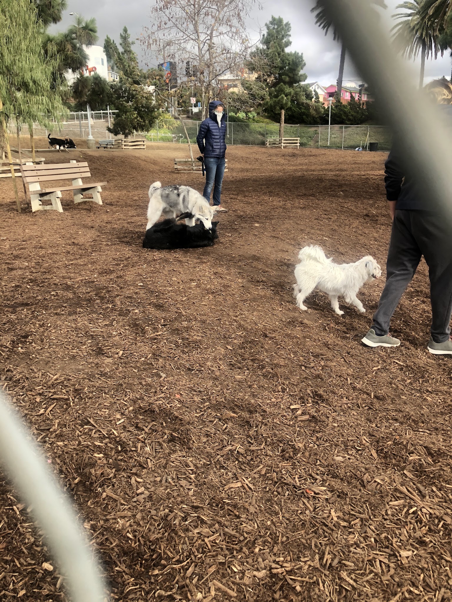 Airport Park Dog Park - Santa Monica, CA