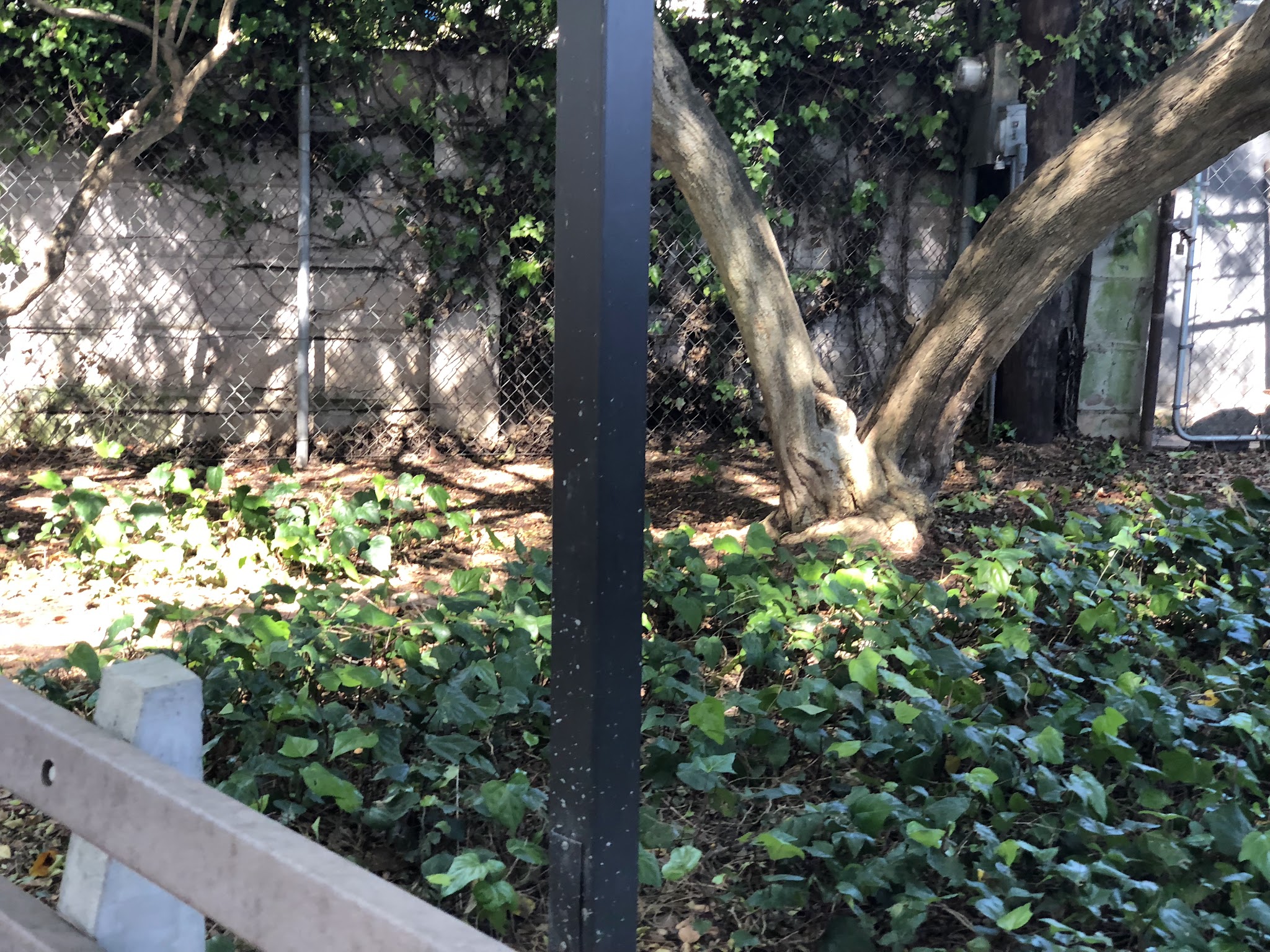 Ashland Park - Santa Monica, CA