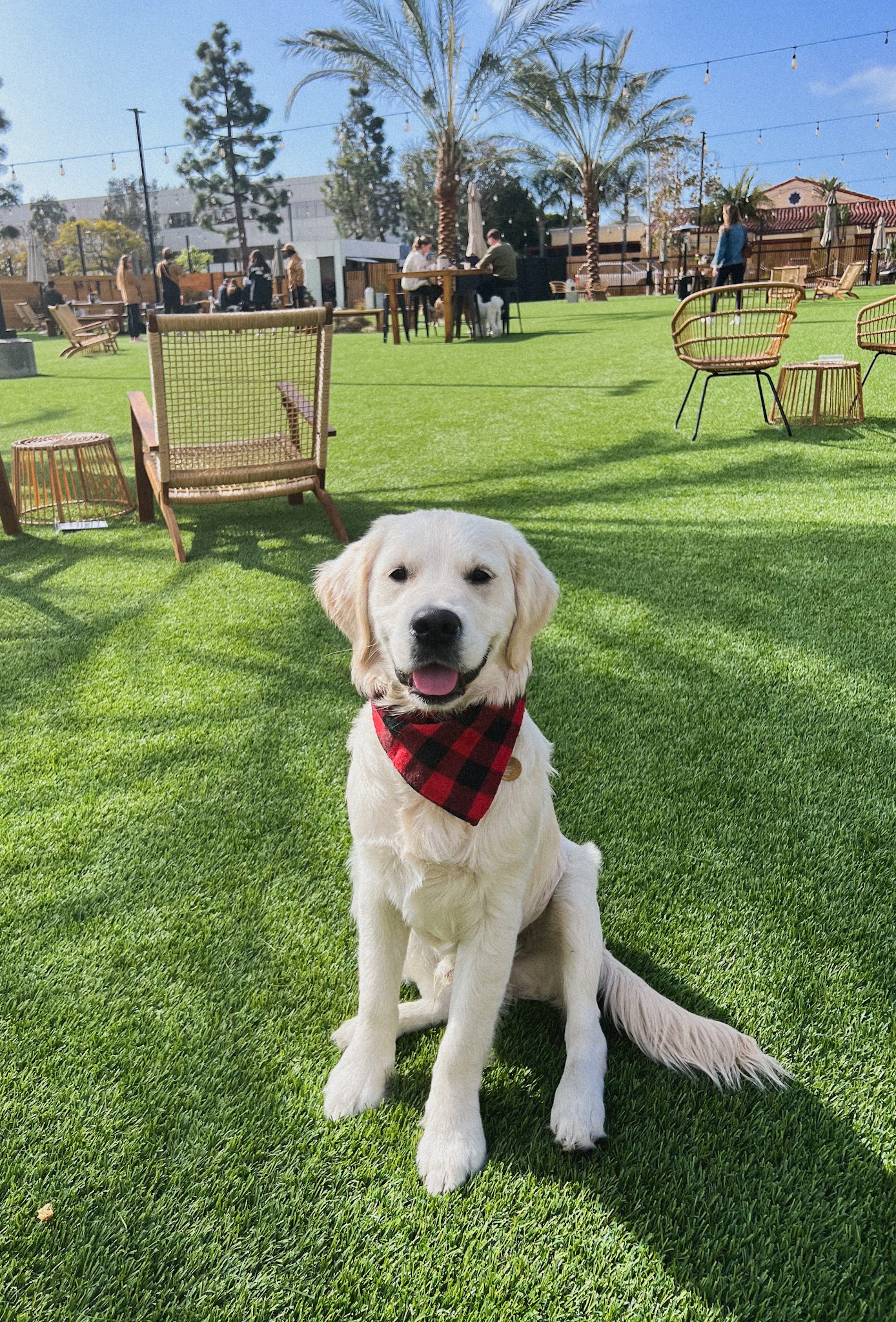 DOG PPL - Santa Monica, CA