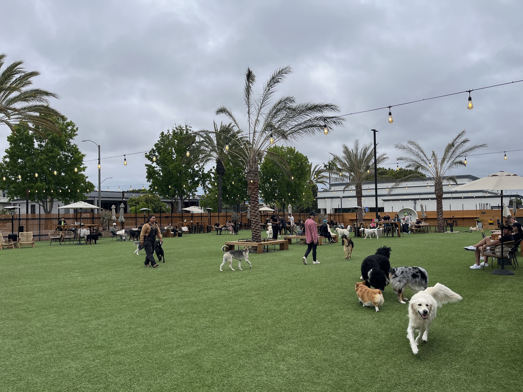 DOG PPL - Santa Monica, CA