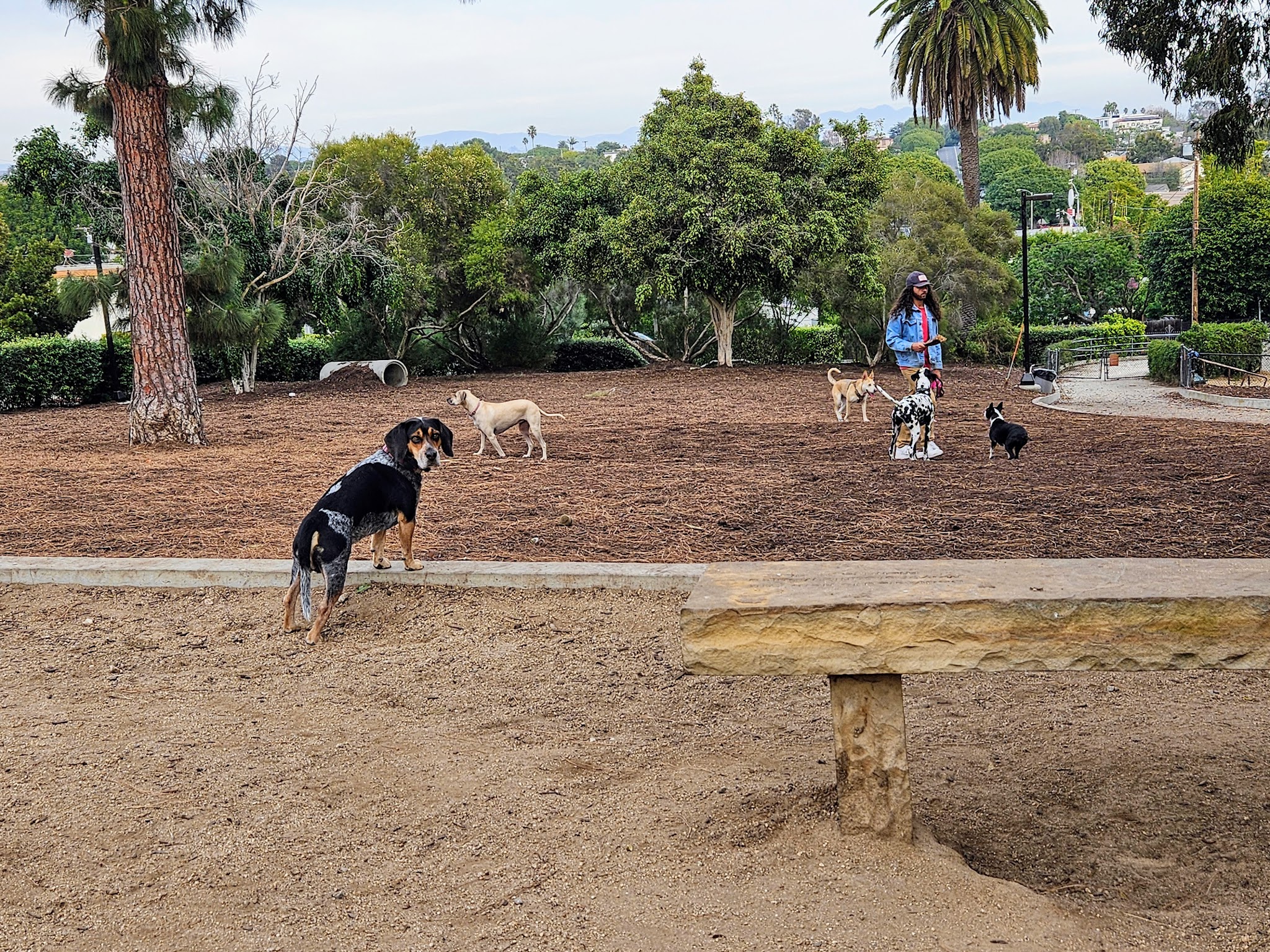 Joslyn Park - Santa Monica, CA