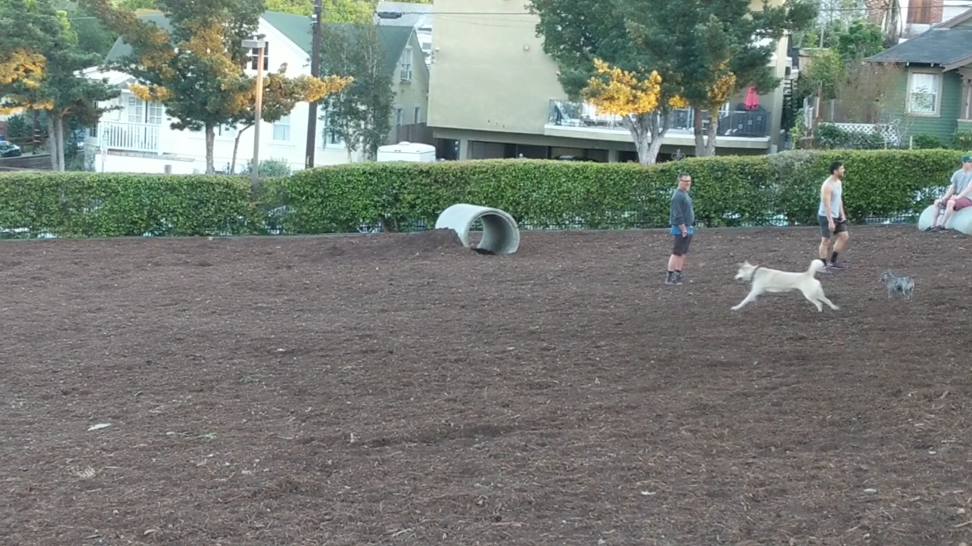 Joslyn Park - Santa Monica, CA