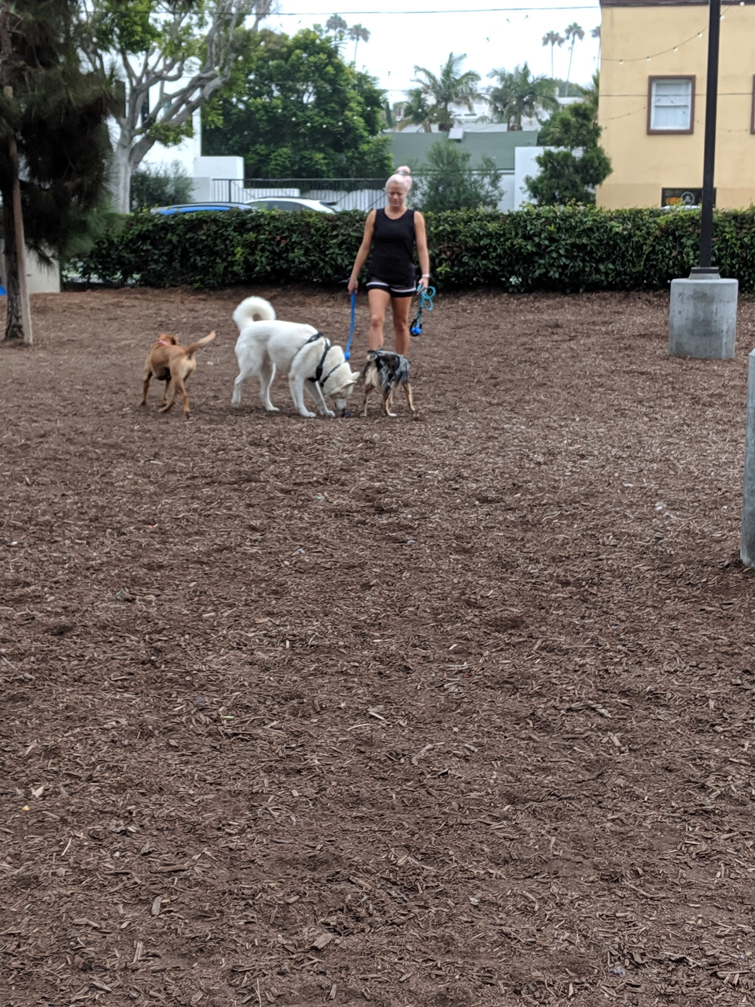 Pacific Street Park - Santa Monica, CA