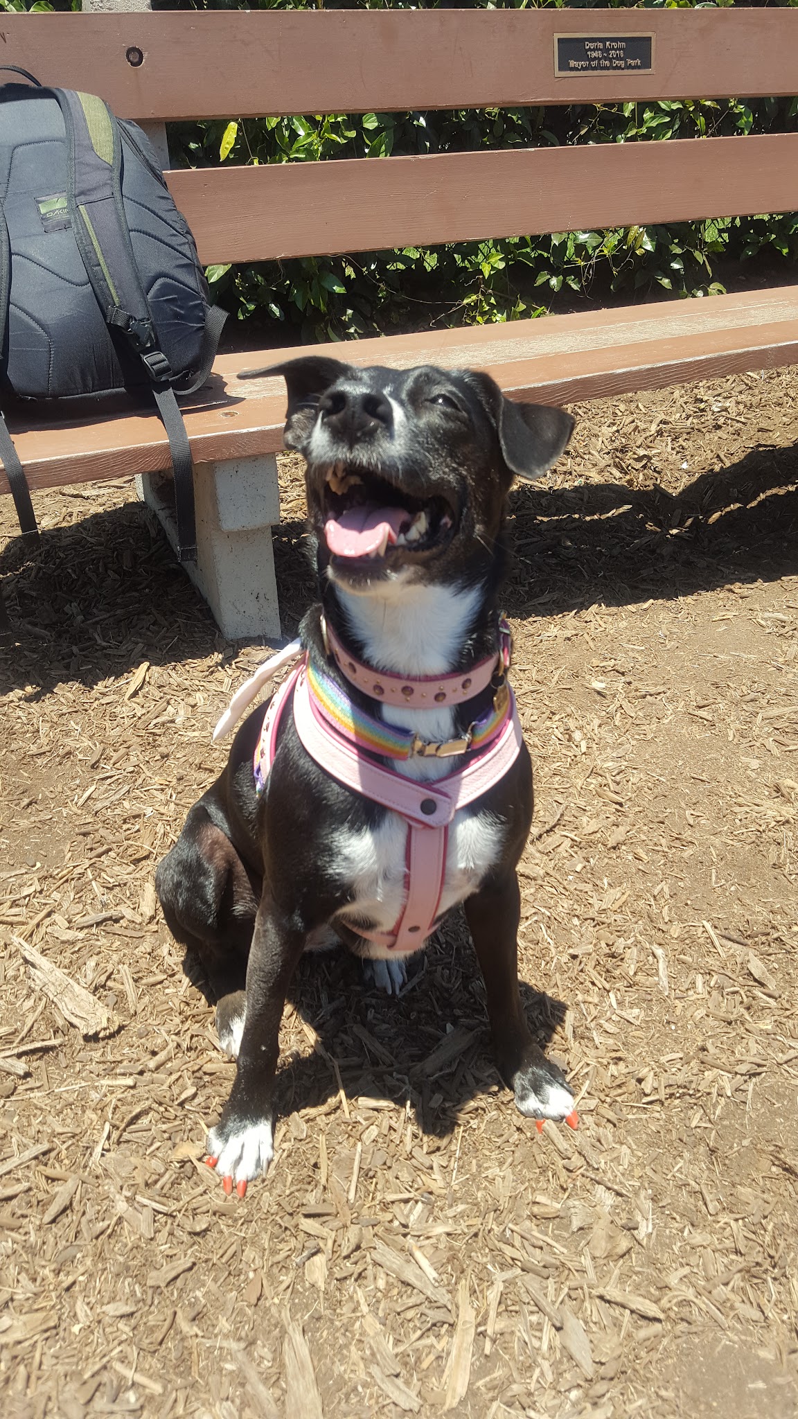 Pacific Street Park - Santa Monica, CA