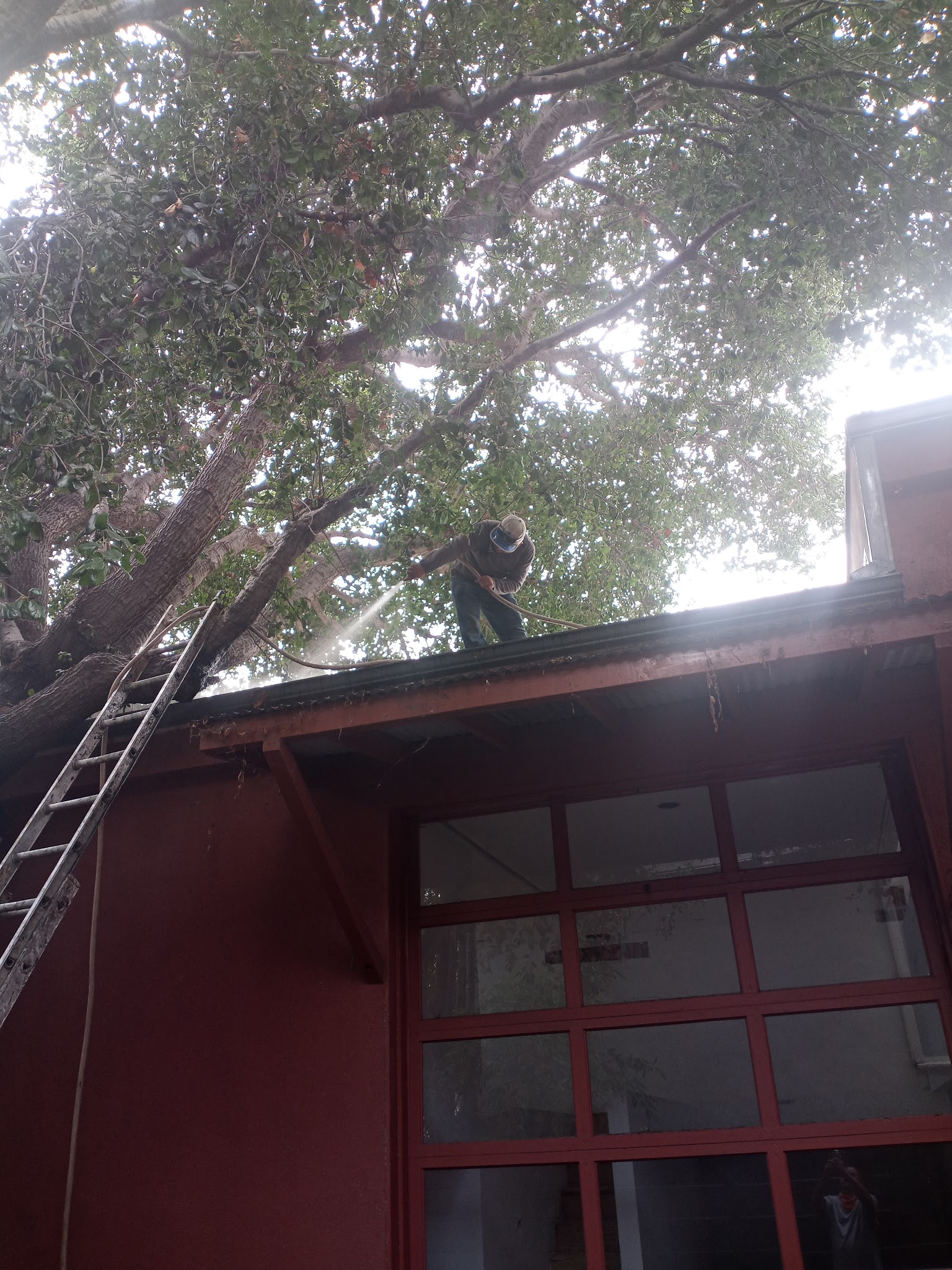 Schader Park - Santa Monica, CA