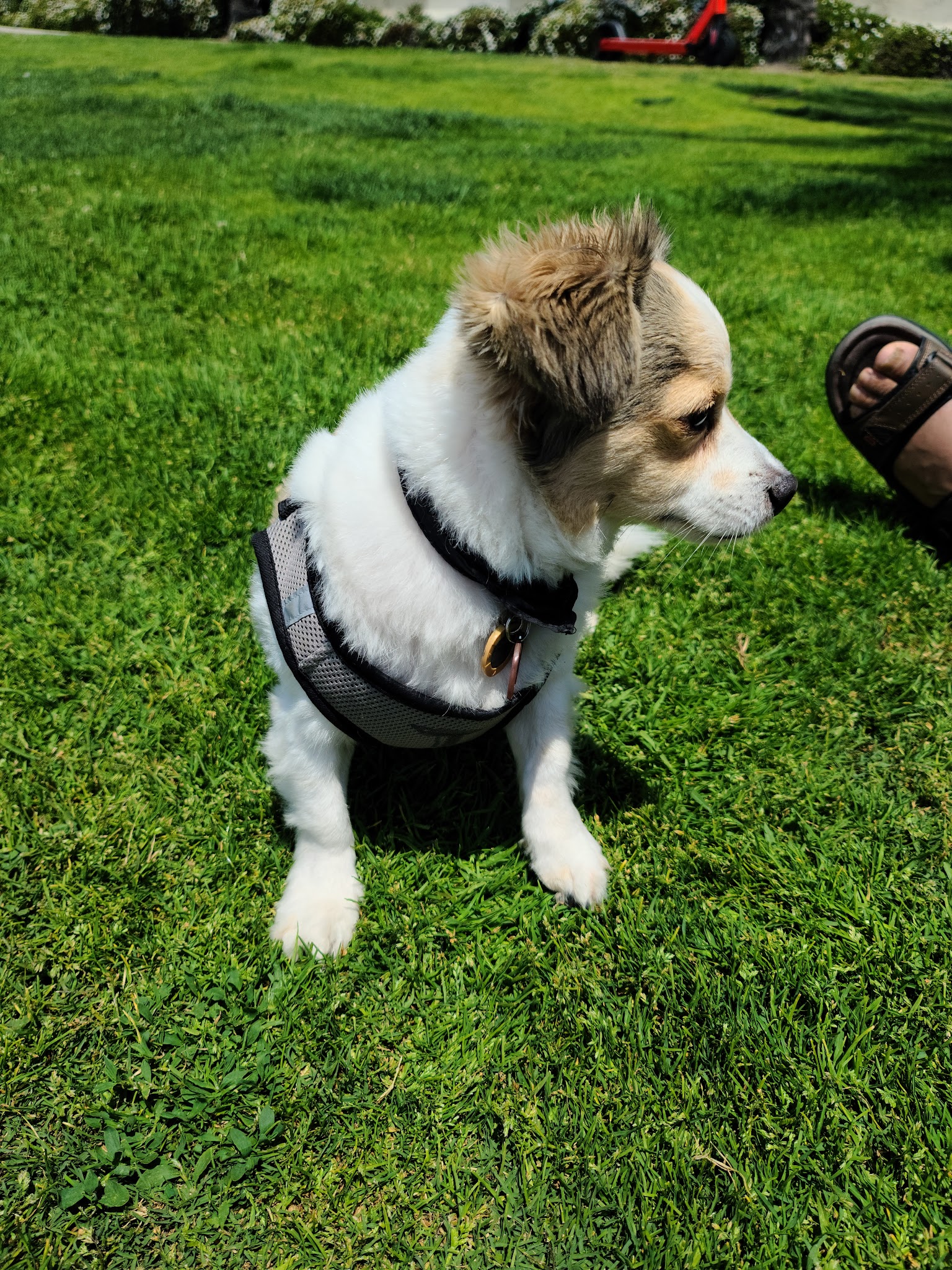 South Beach Park - Santa Monica, CA