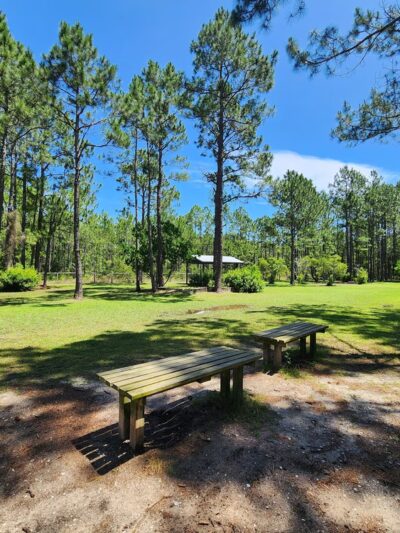 Walton County Dog Park - Santa Rosa Beach, FL