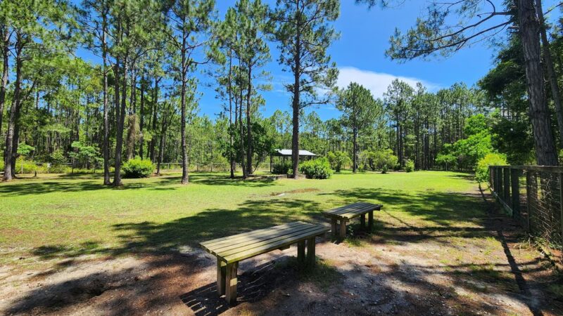 Walton County Dog Park - Santa Rosa Beach, FL