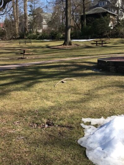 Chase Park - Scarsdale, NY