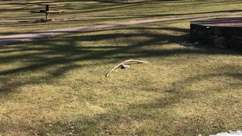 Chase Park - Scarsdale, NY