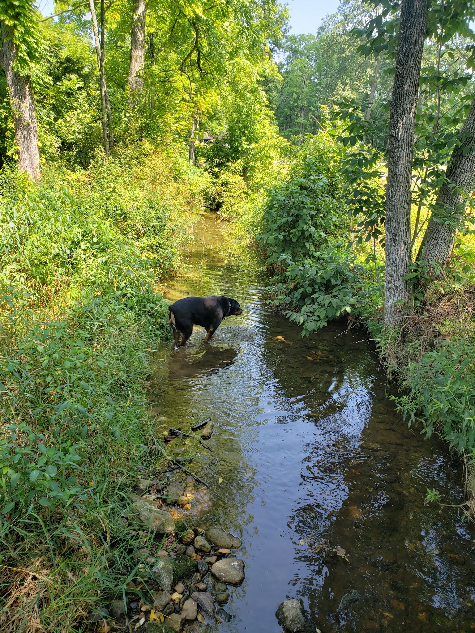 Neffs Valley Park - Schnecksville, PA