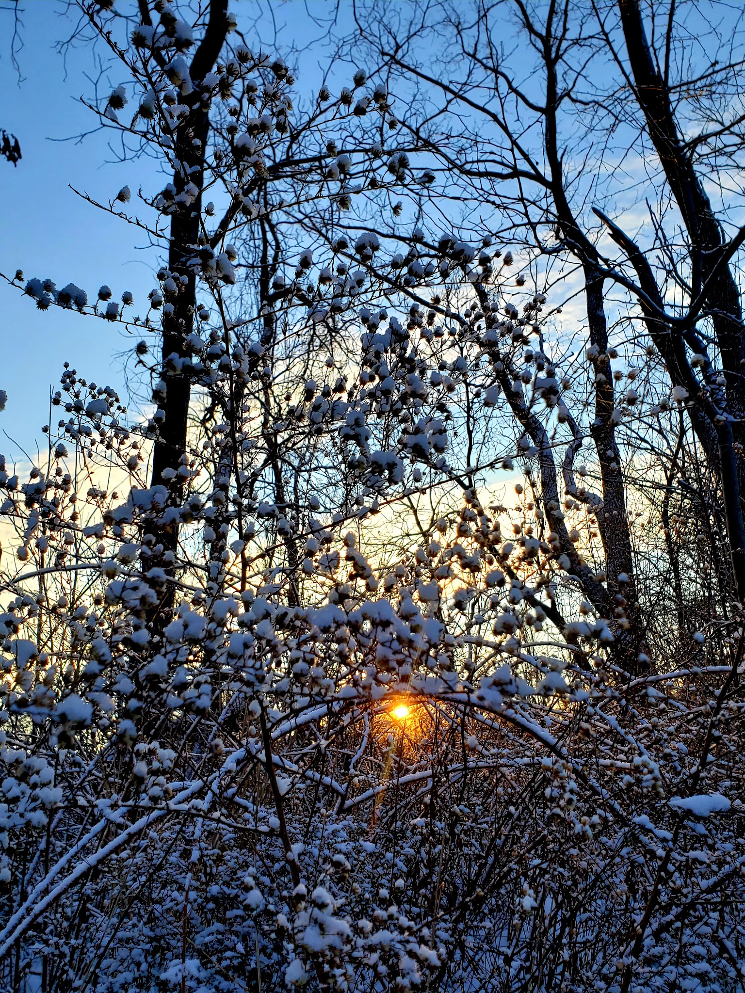 Neffs Valley Park - Schnecksville, PA