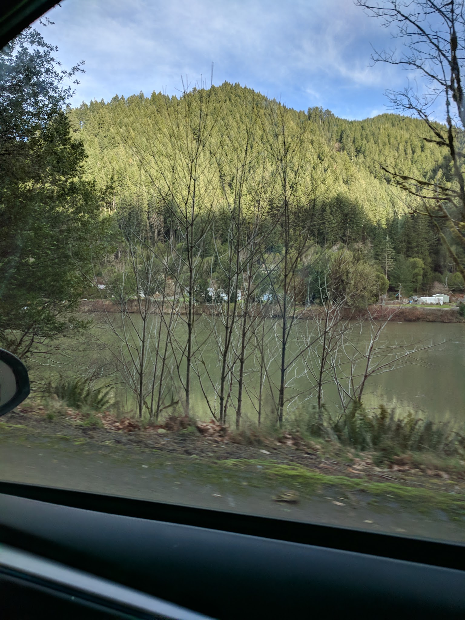 Scottsburg County Park - Scottsburg, OR