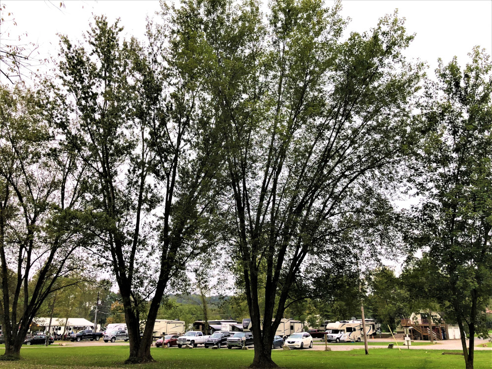 Penn Avon Campground - Selinsgrove, PA