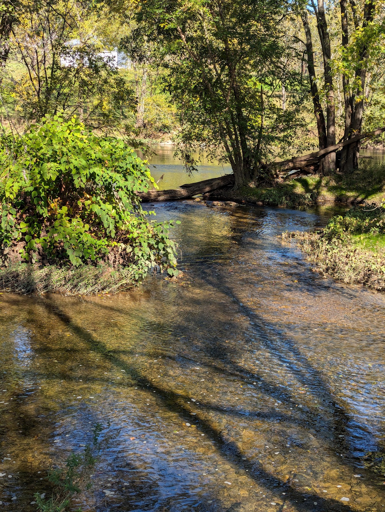Penn Avon Campground - Selinsgrove, PA