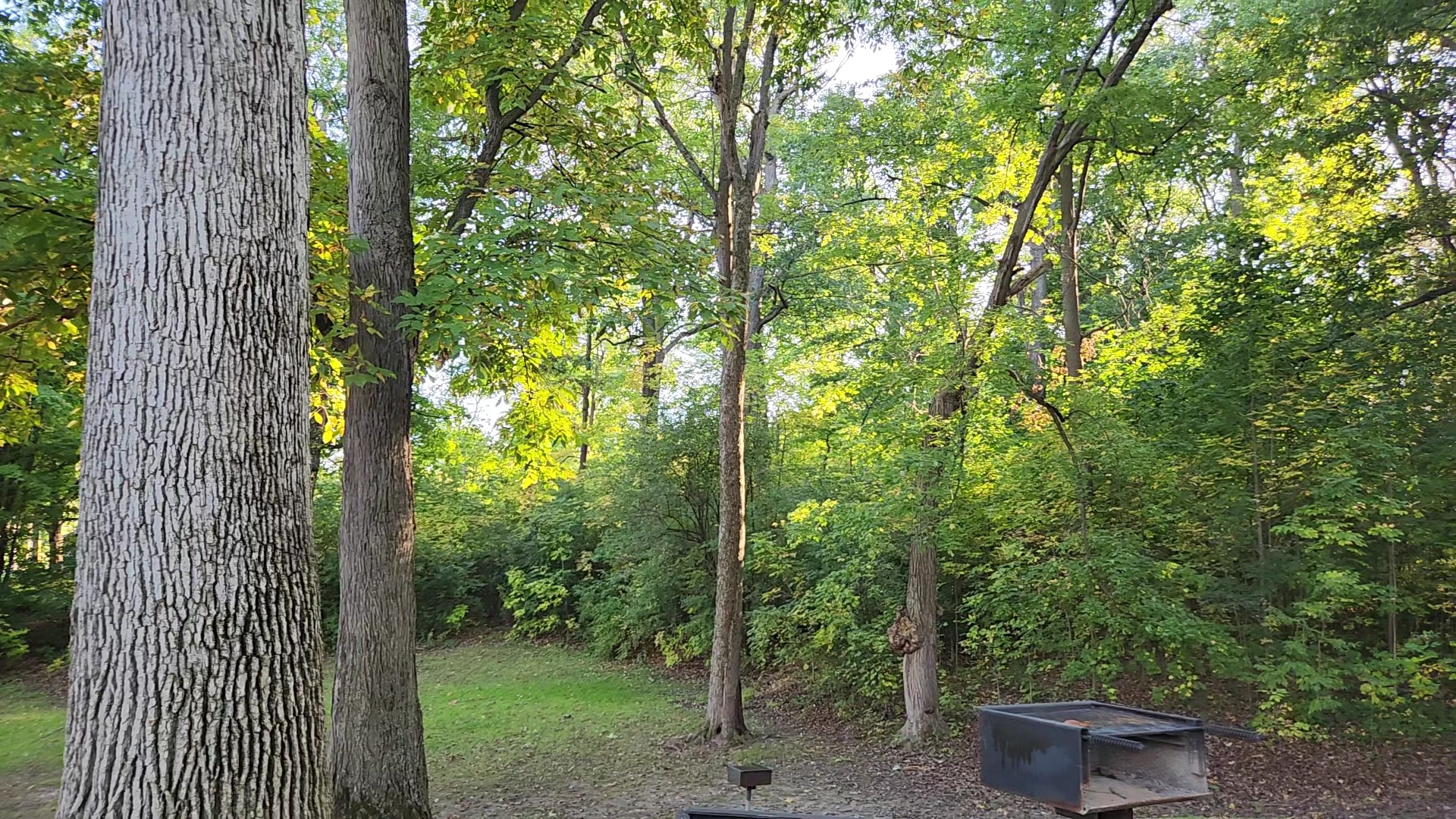 Cayuga Lake State Park-East - Seneca Falls, NY