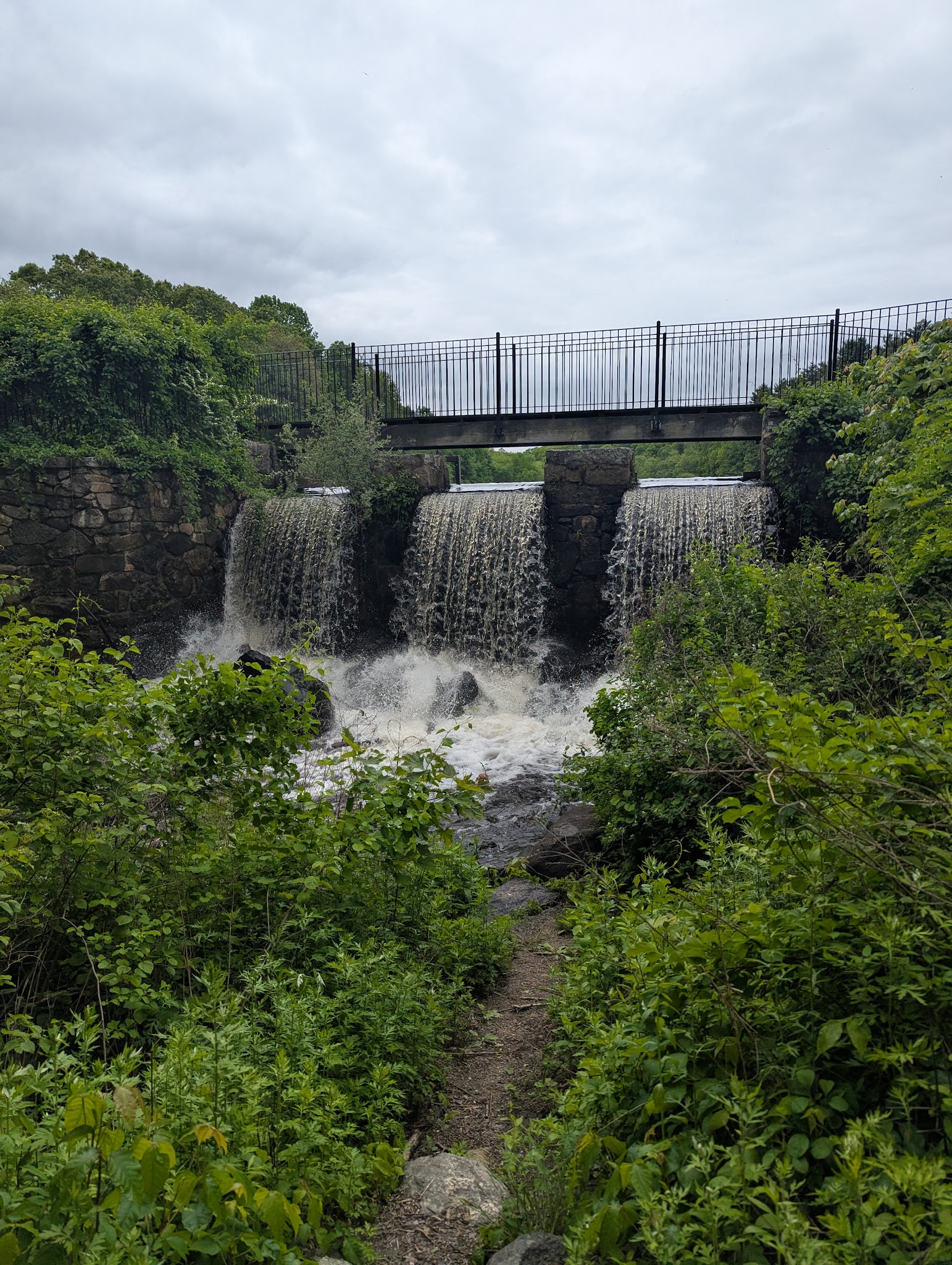 Massapoag Trail - Sharon, MA