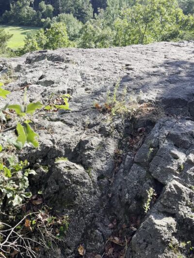 Rocky Narrows - Sherborn, MA