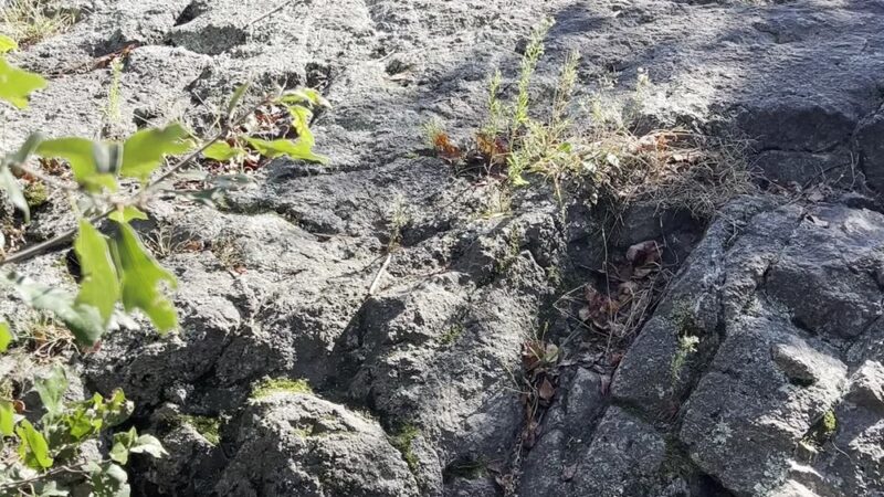 Rocky Narrows - Sherborn, MA