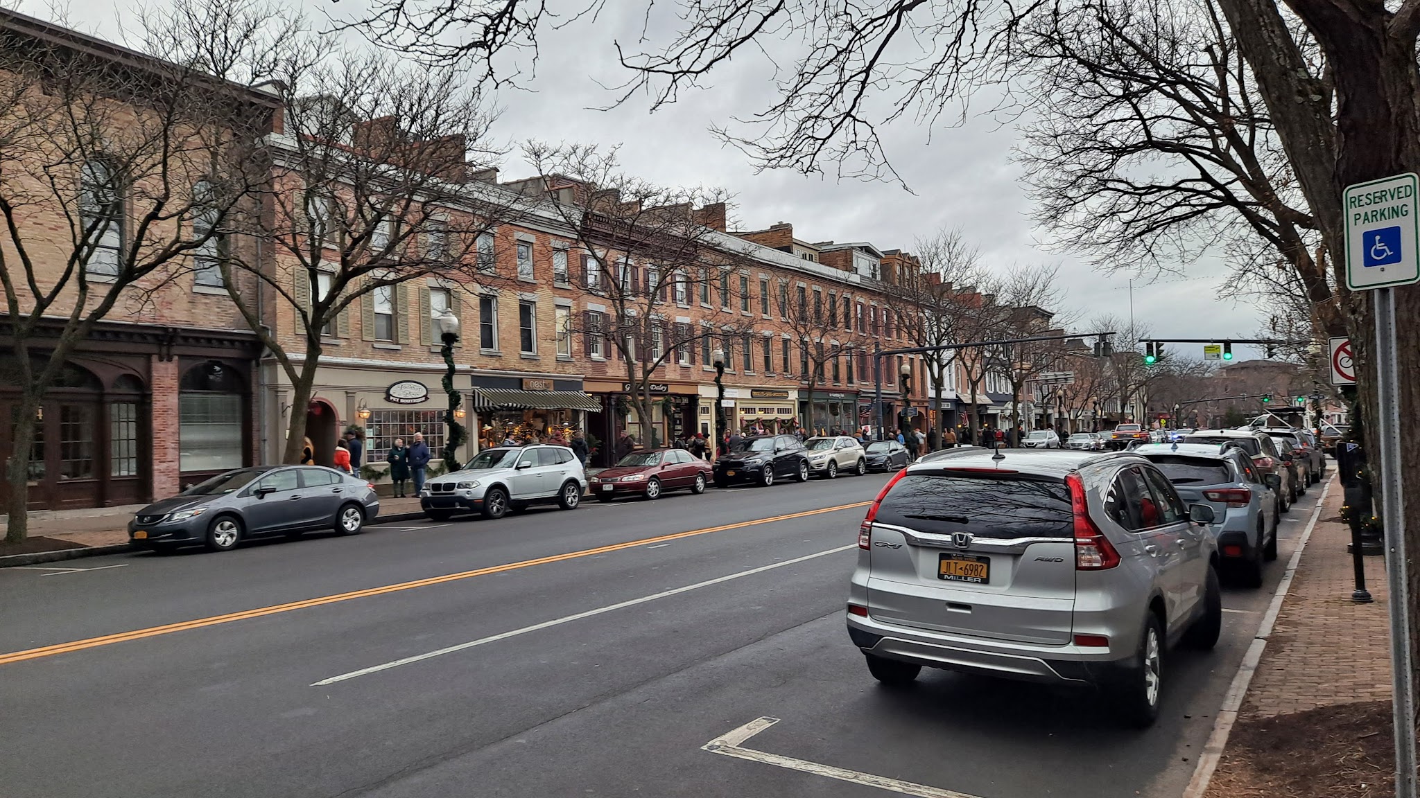 Aristocats & Dogs - Skaneateles, NY