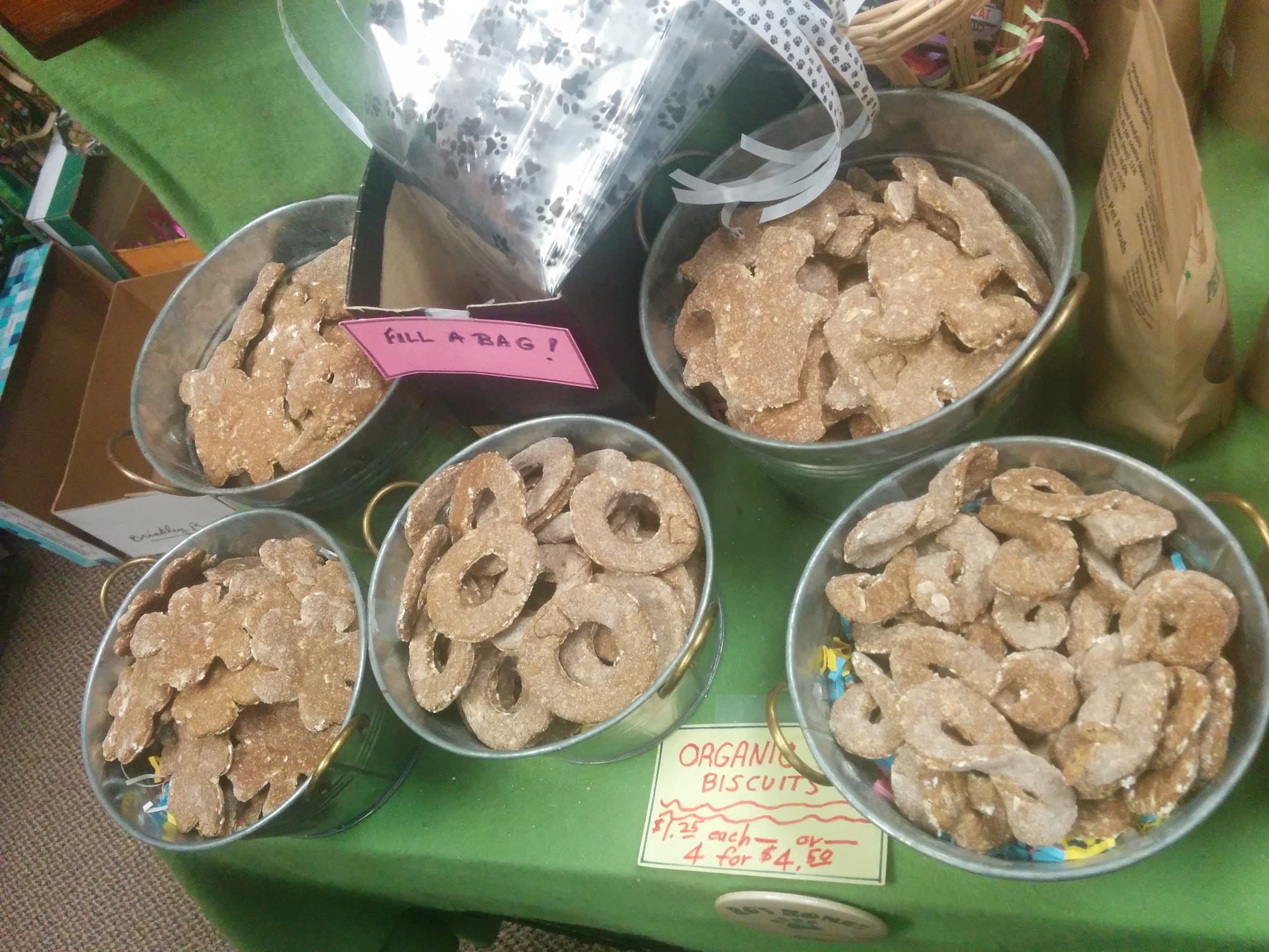 Aristocats & Dogs - Skaneateles, NY