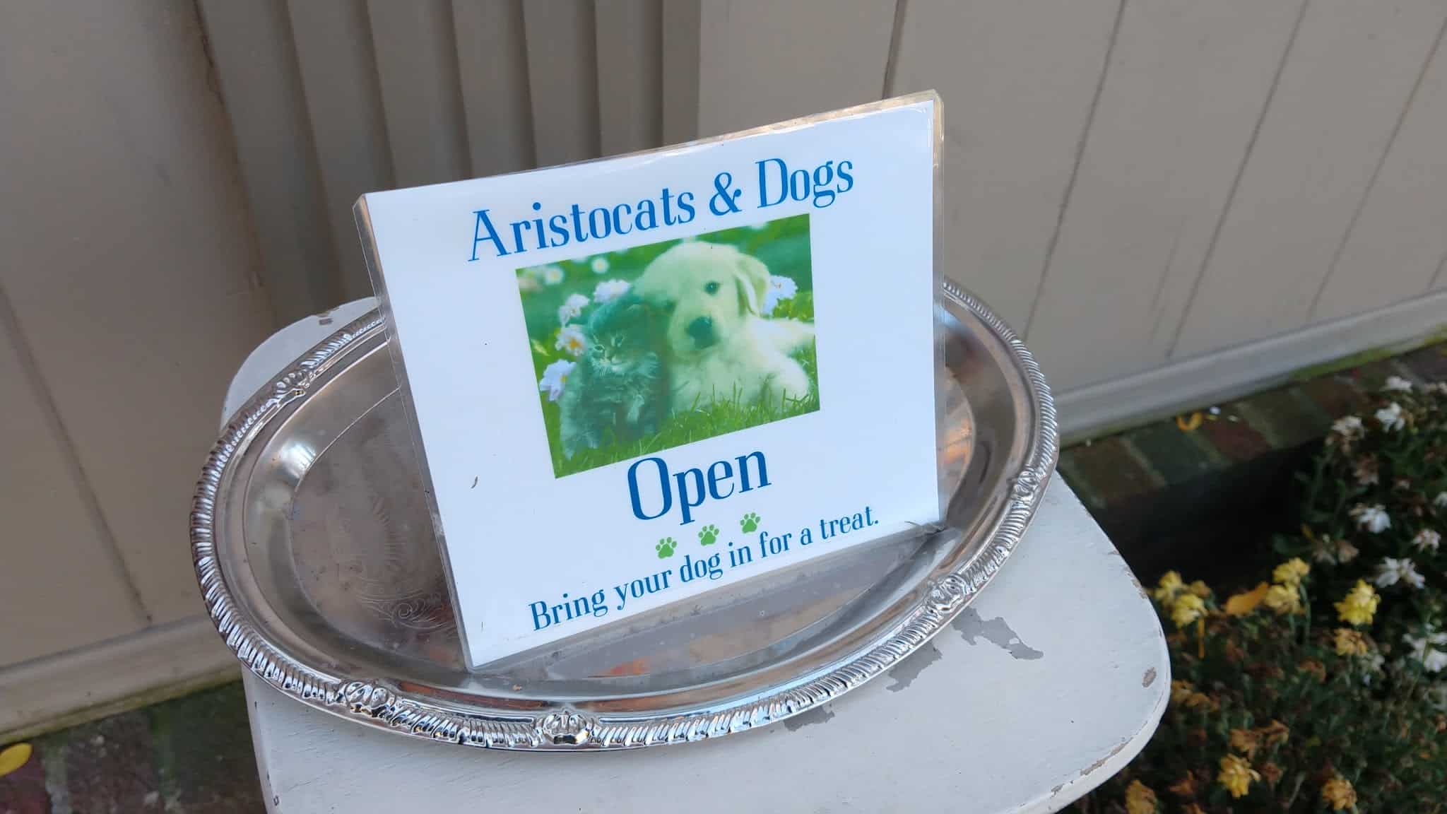 Aristocats & Dogs - Skaneateles, NY