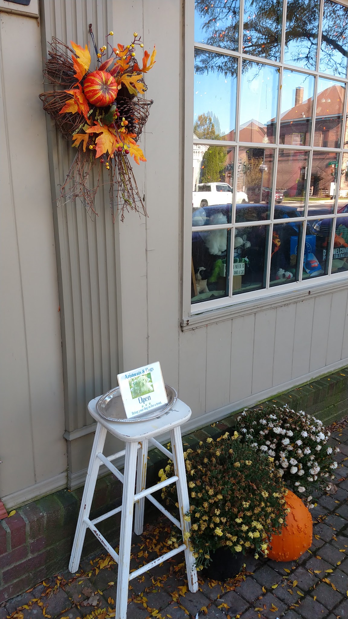 Aristocats & Dogs - Skaneateles, NY