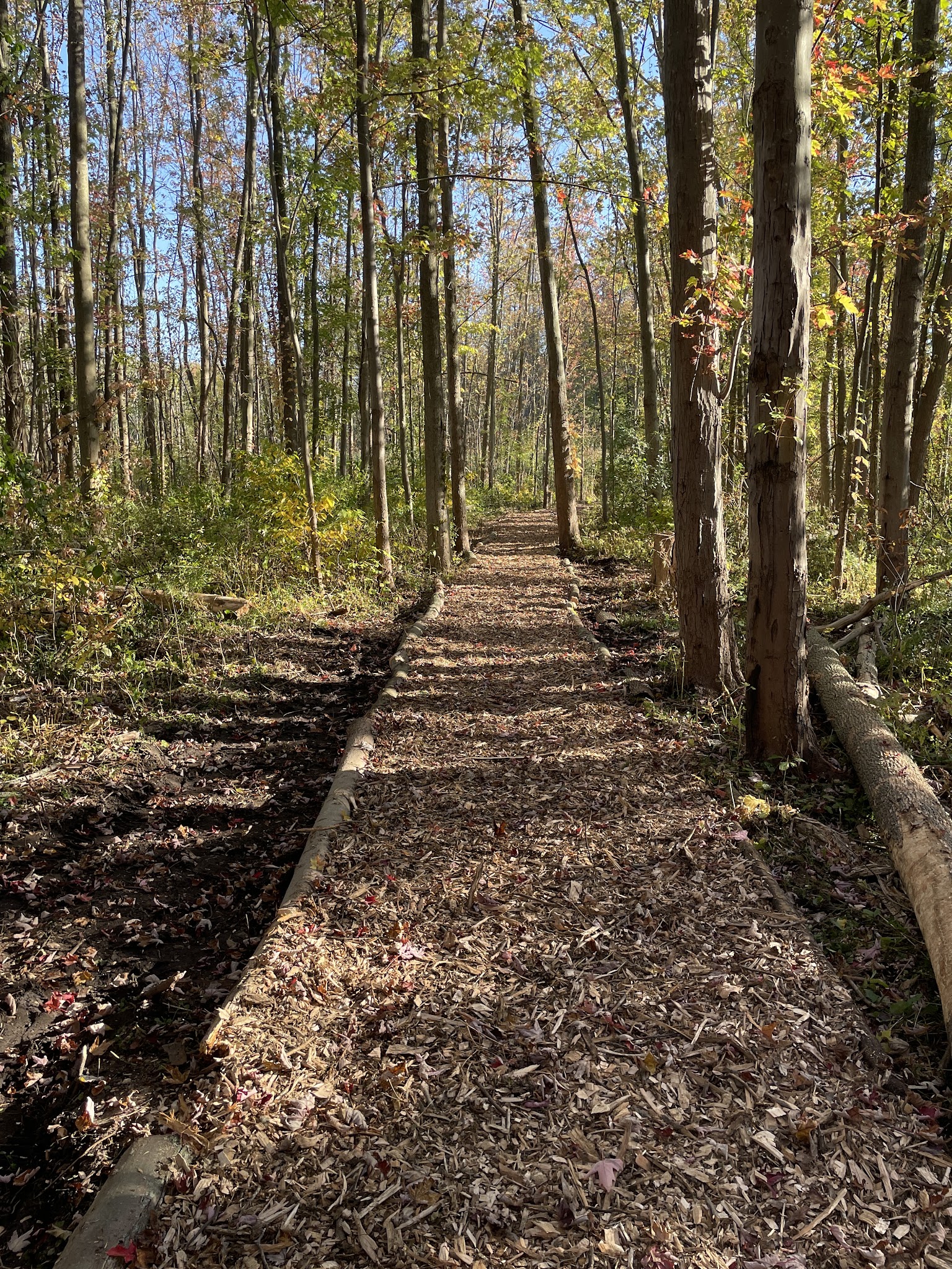 Peter C Vargason Nature Trail - Skaneateles, NY
