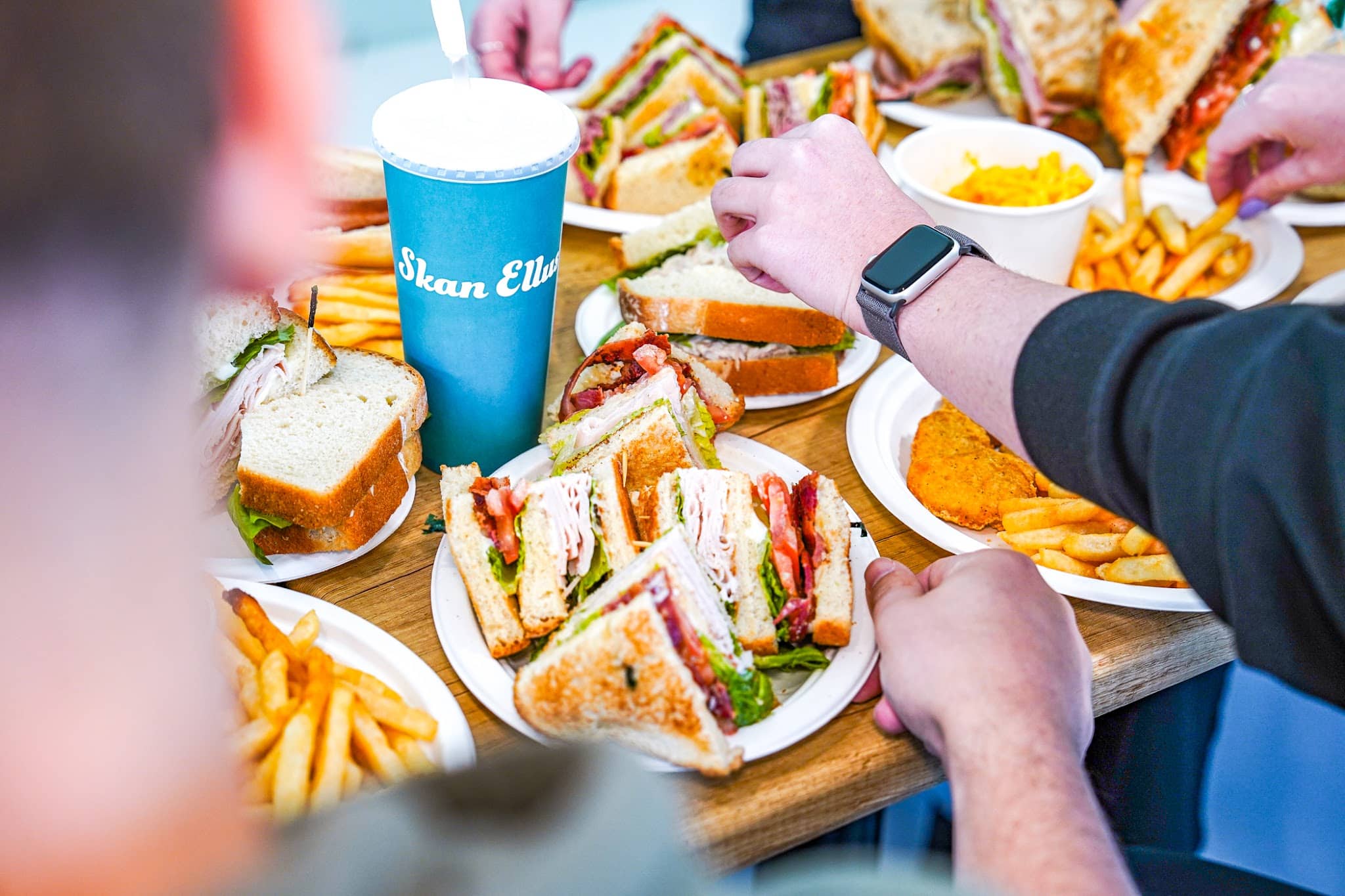 Skan Ellus Drive In - Skaneateles, NY