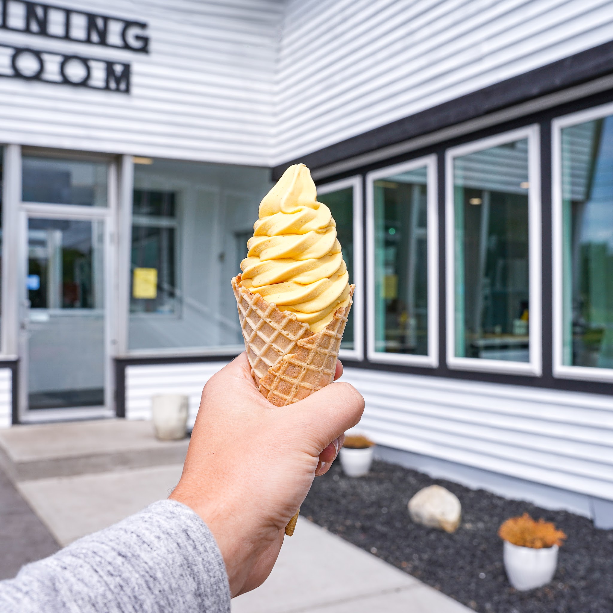 Skan Ellus Drive In - Skaneateles, NY