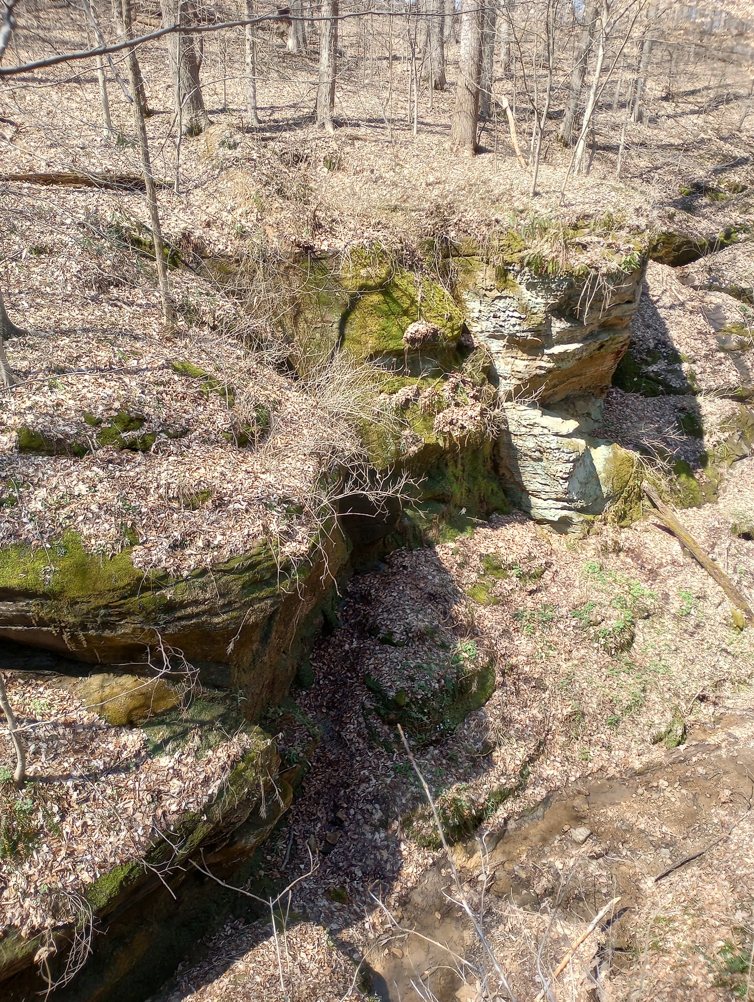 Canyon Forest Nature Preserve - Solsberry, IN