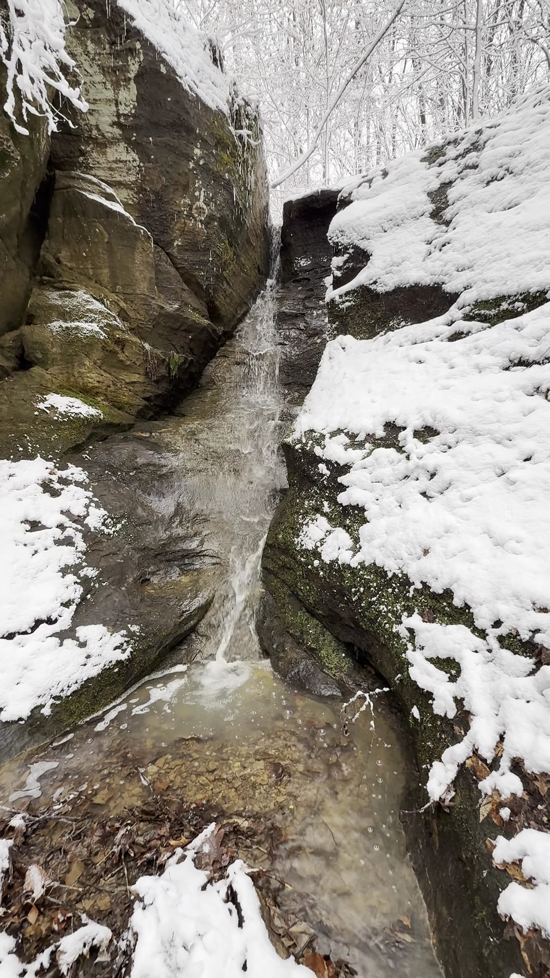 Canyon Forest Nature Preserve - Solsberry, IN
