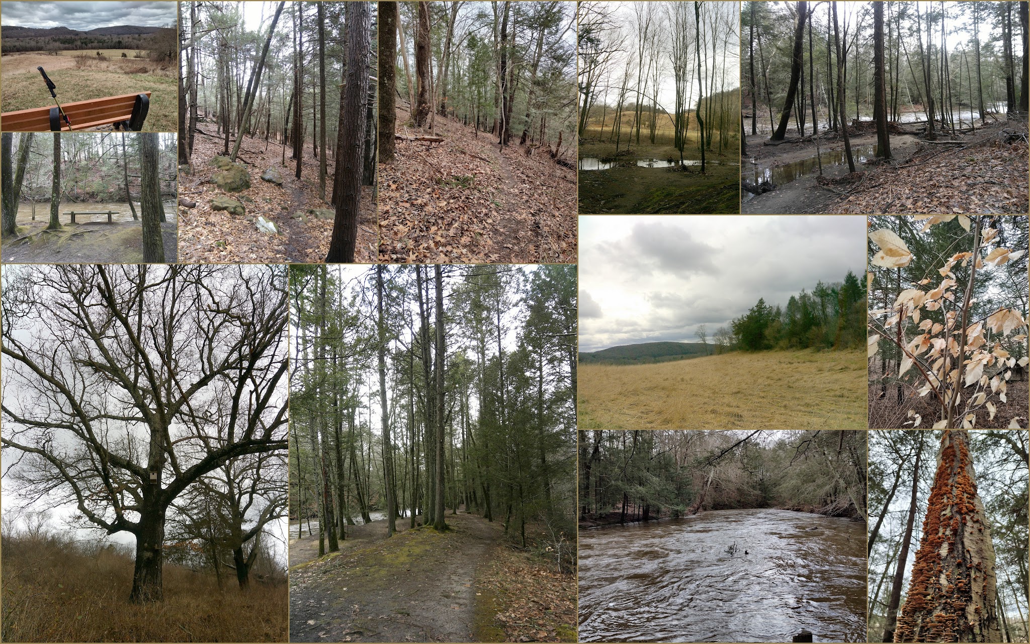 Platt Farm Preserve - Southbury, CT