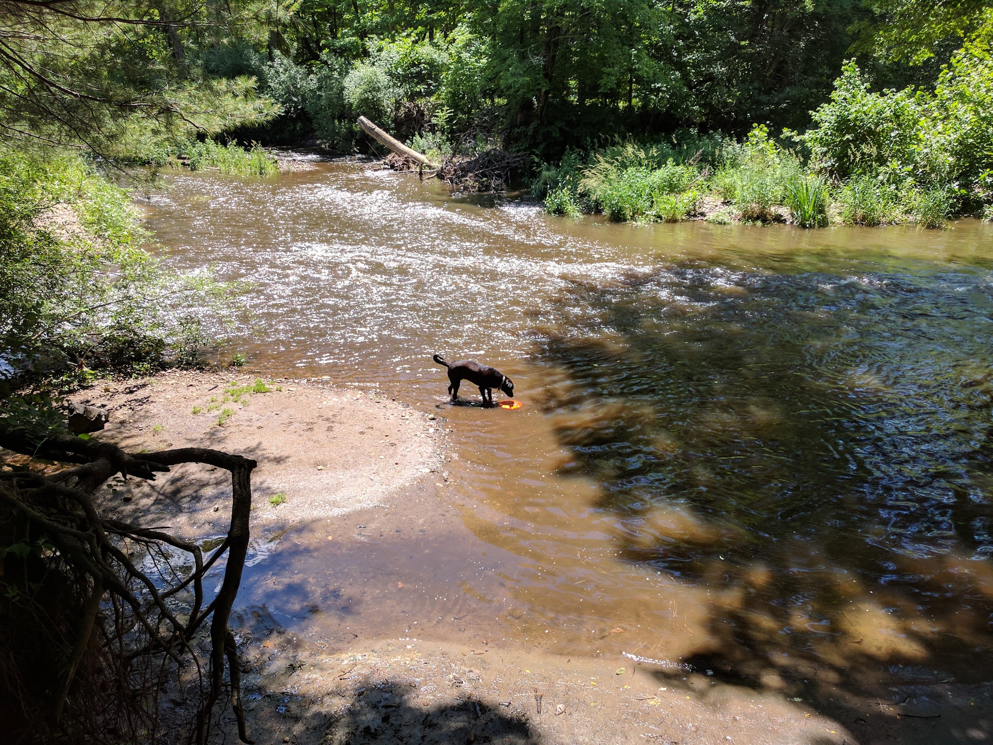 Settlers Park - Southbury, CT
