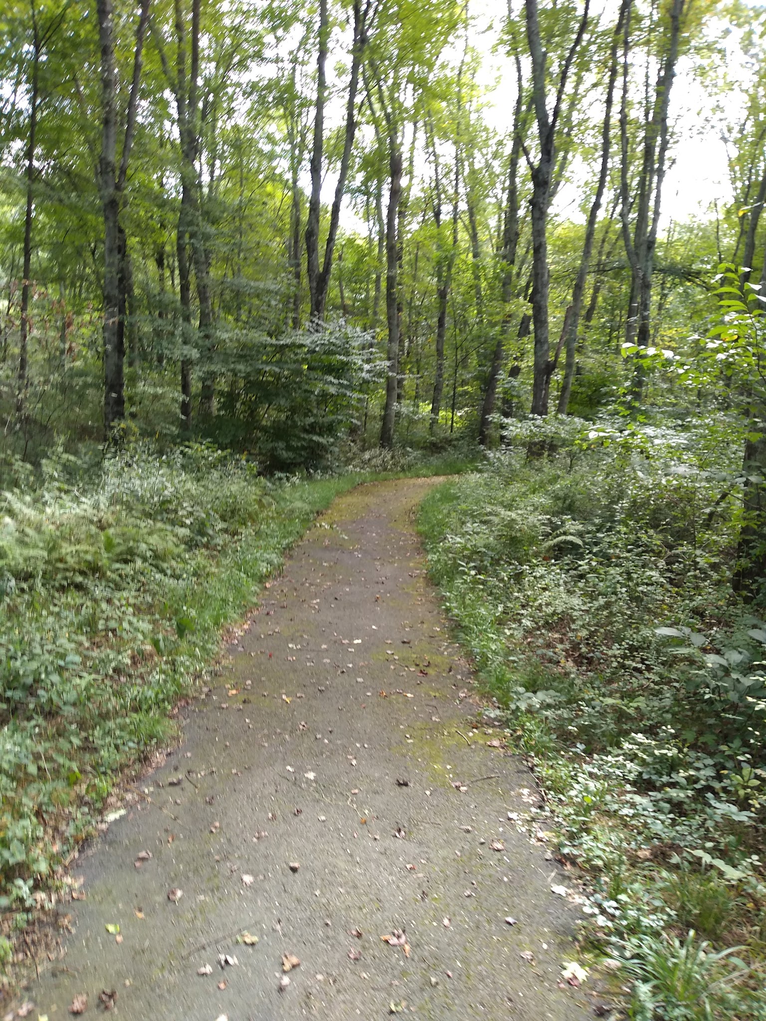 Settlers Park - Southbury, CT