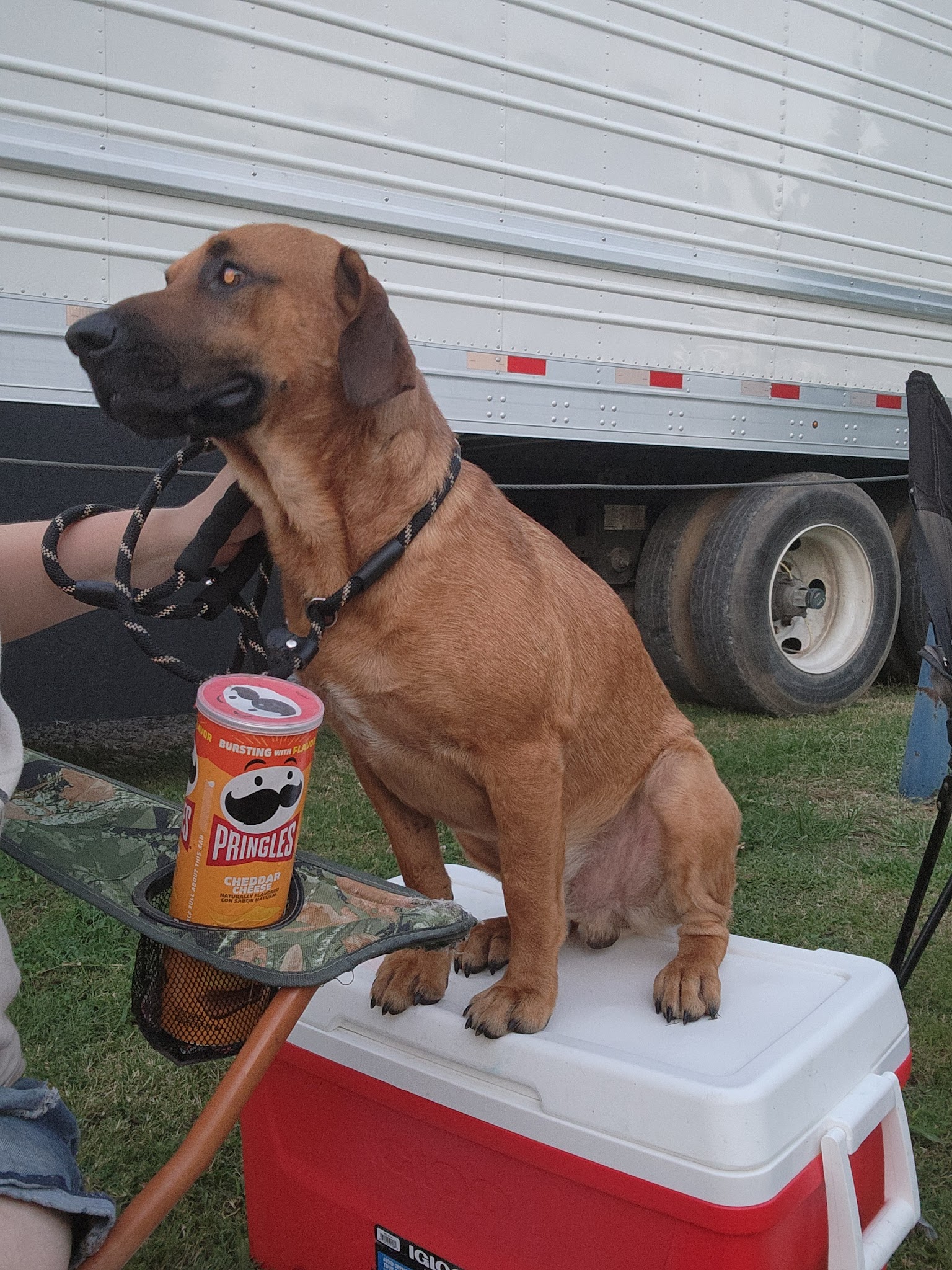 Southwest City Park - Southwest City, MO